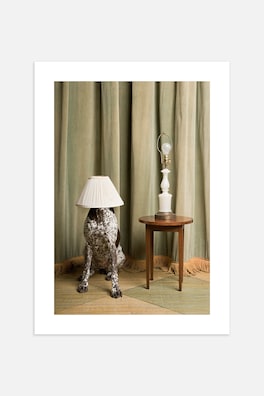 Hide And Seek Poster
