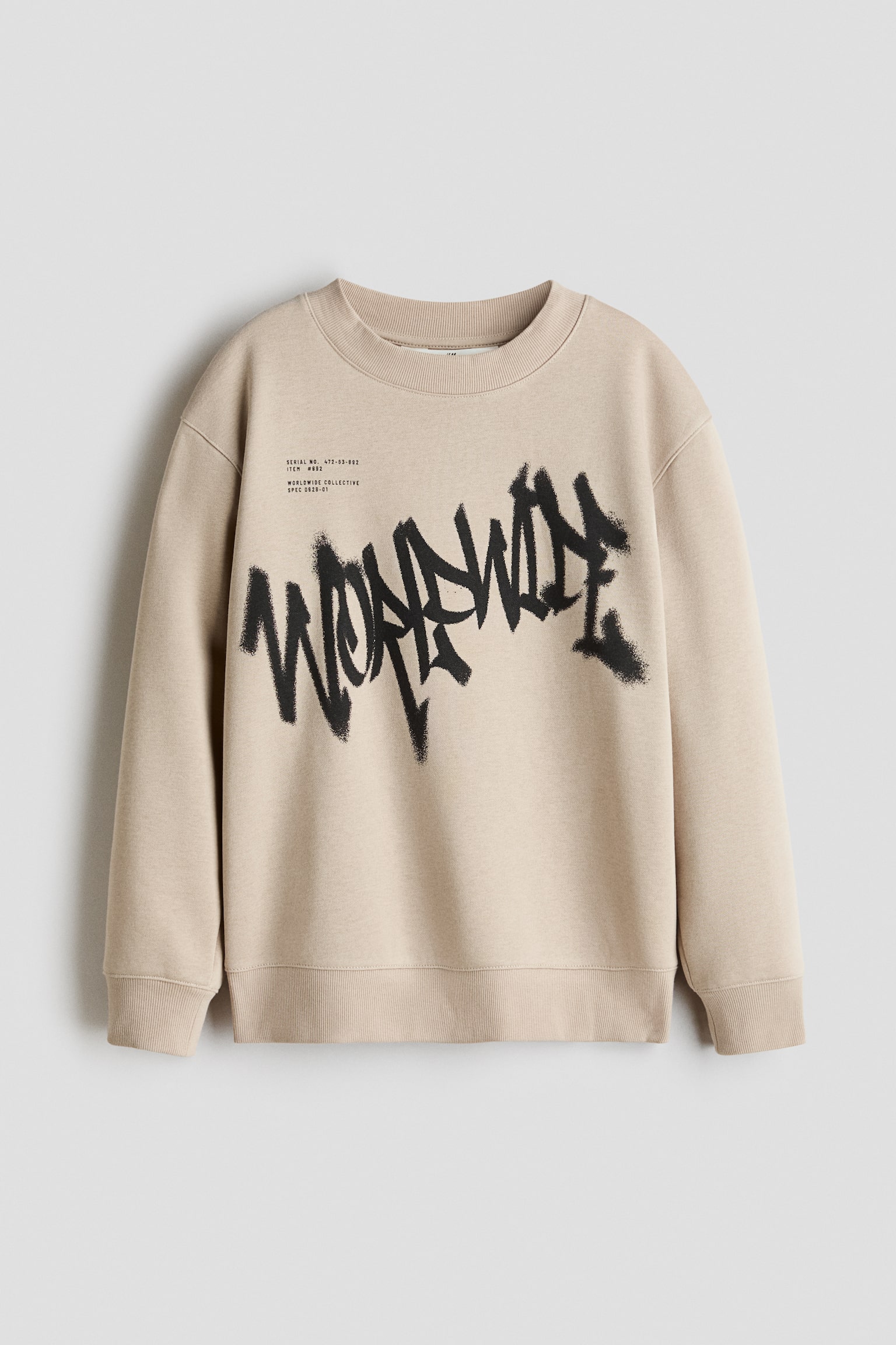 Sudadera con interior cepillado y motivo - Beige claro/Worldwide/Azul vivo/NY Athletics