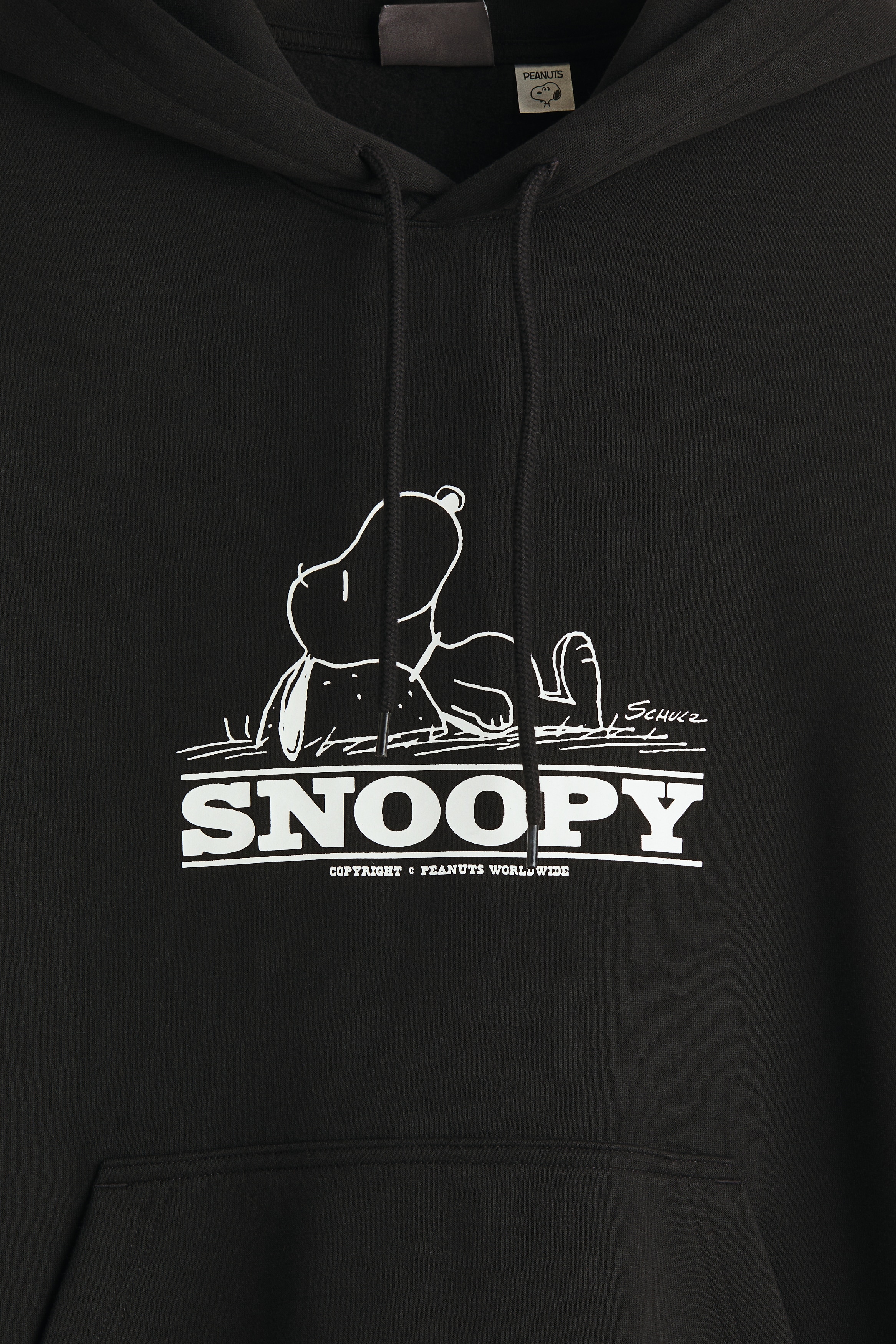 Regular Fit Hoodie