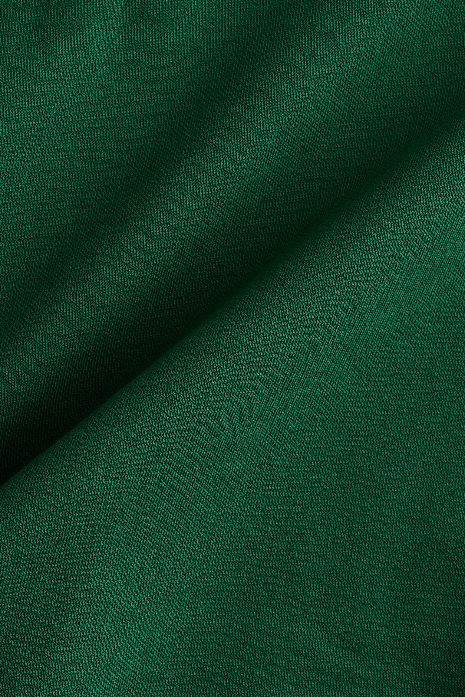Motif-detail sweatshirt - Dark green/Chicago/Beige/Atelier - 5