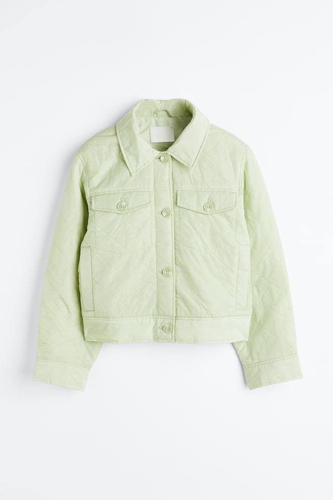 Quilted jacket - Light green/Black - 1
