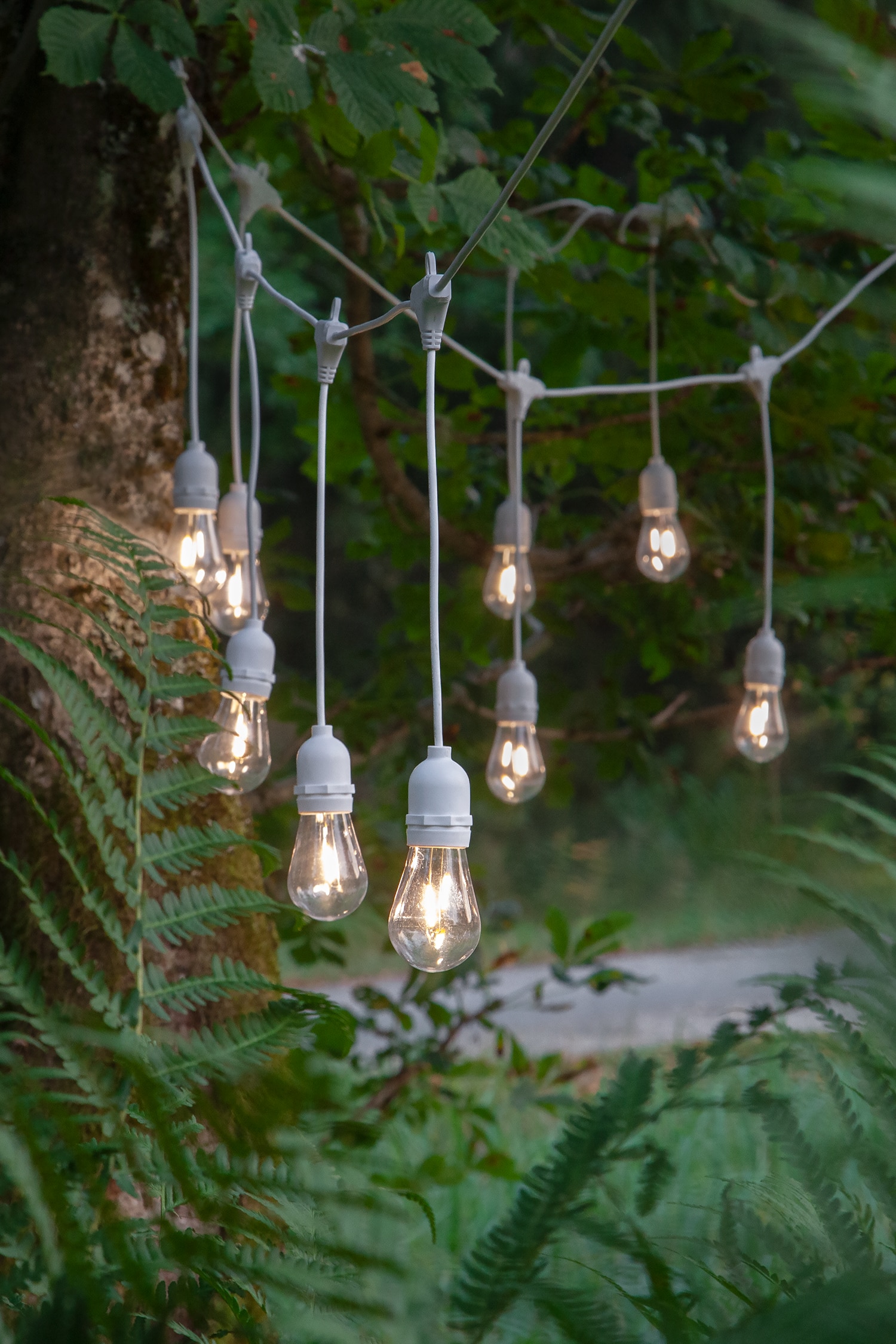 Ljusslinga String Light 10led Indoor/outdoor - Transparent