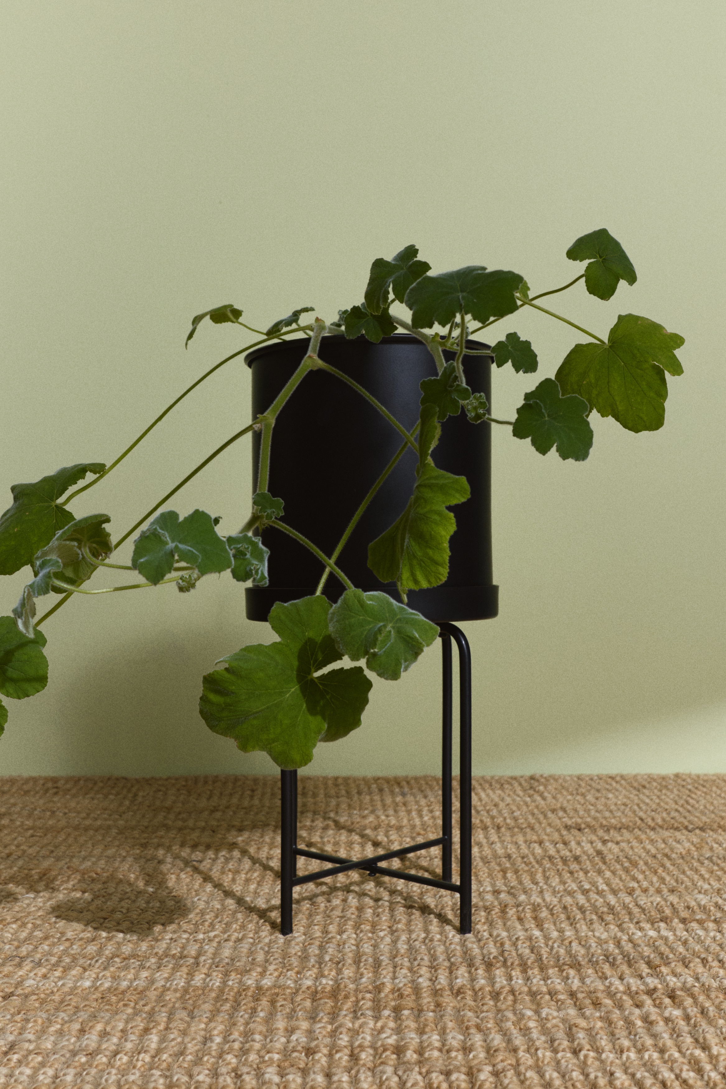 Metalen bloempot op onderstel - Zwart/Lichtbeige/Olijfgroen