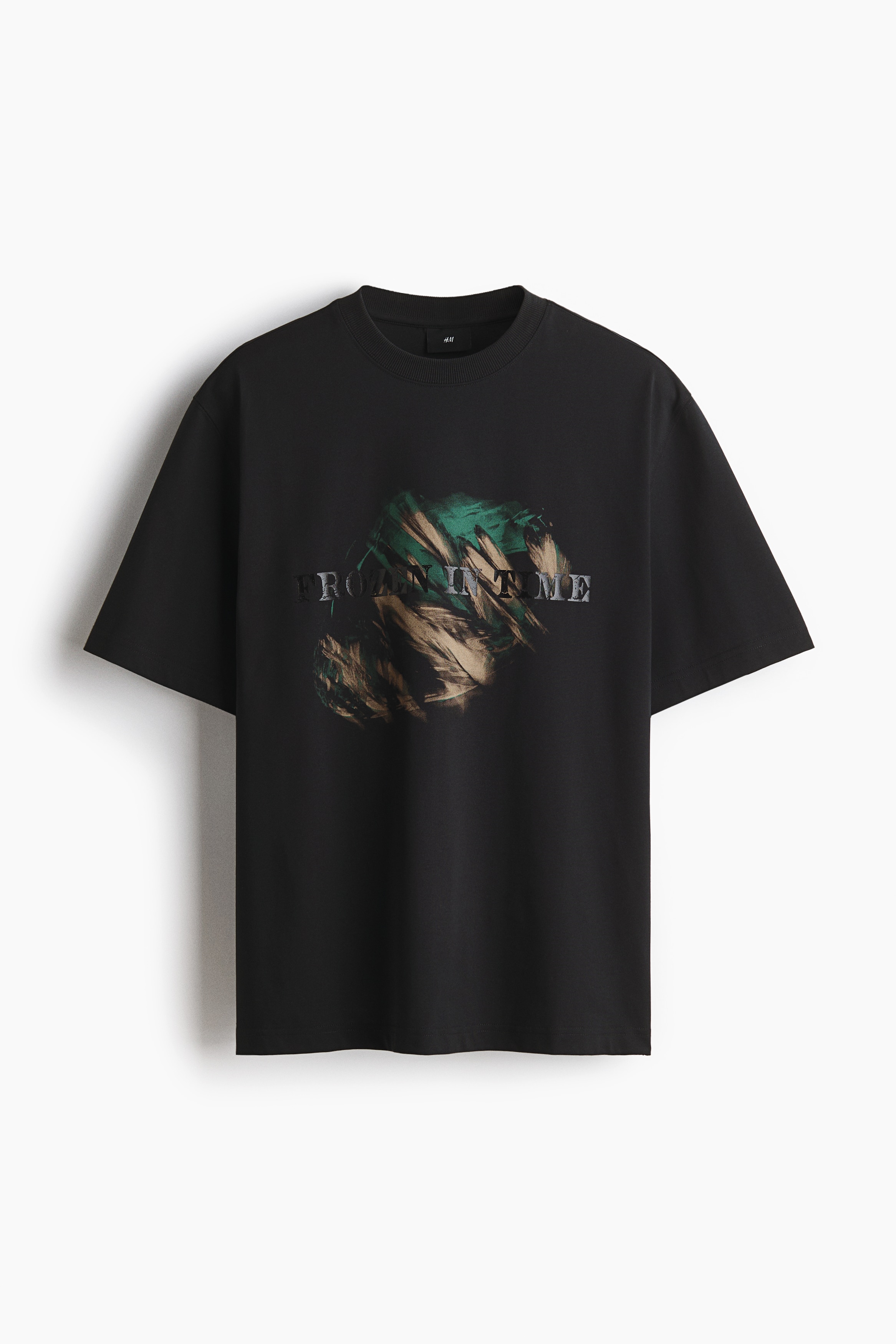 Loose Fit Printed T-shirt - Black/Frozen in Time/White/Tracing Time/Dusty green/Stone Whispers