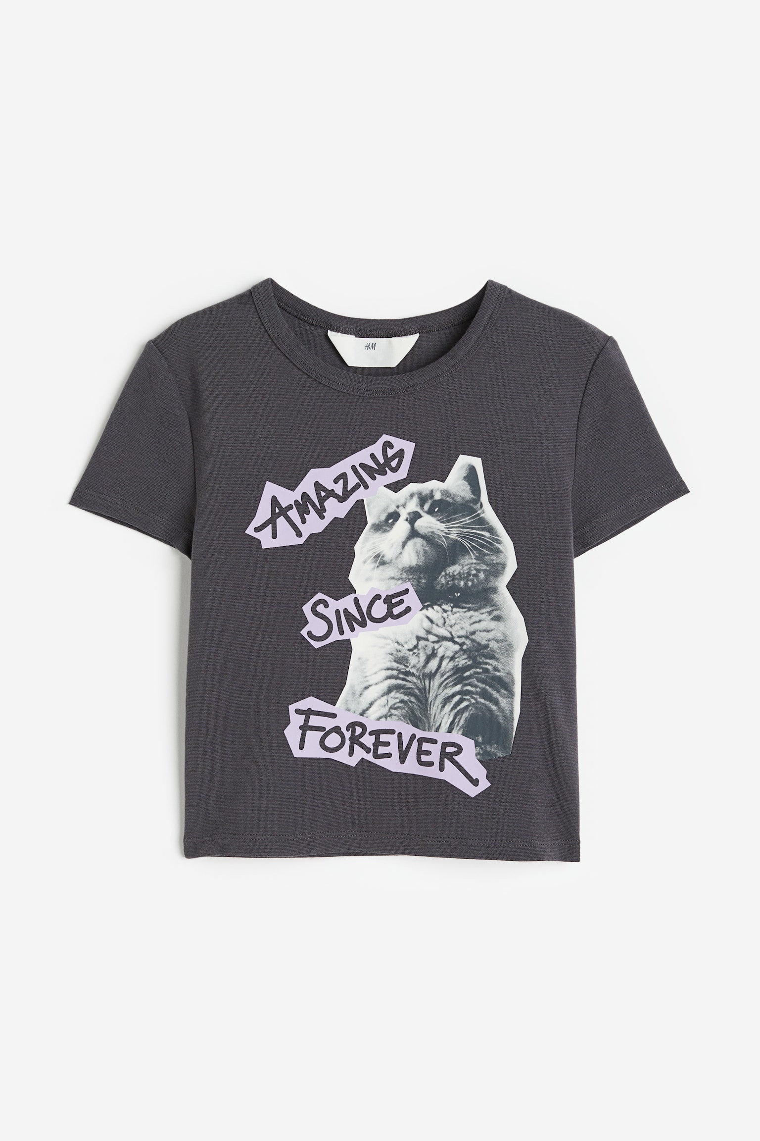 Print-motif T-shirt - Dark grey/Cat/White/Turtle - 1