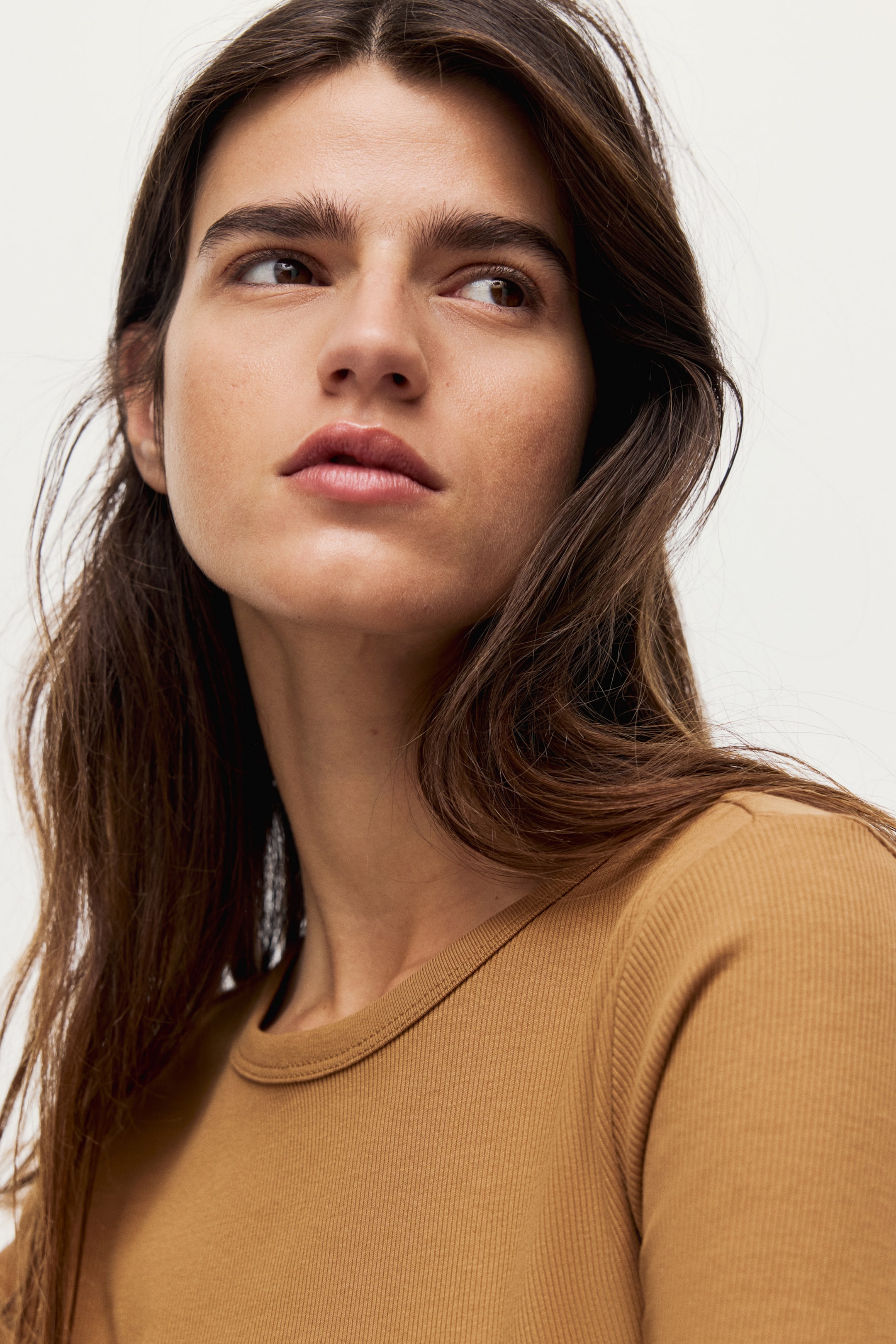 Ingrandisci l'immagine: Maglia in cotone a coste - Marrone chiaro - DONNA | H&M CH 2