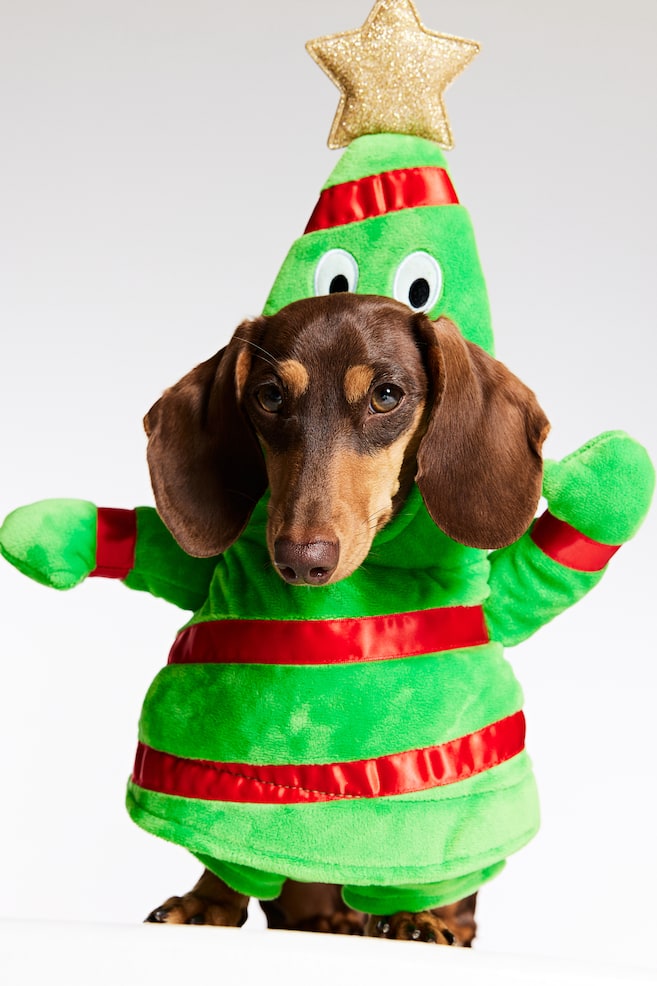 Udklædningsdragt til hund juletræ - Grøn - 1