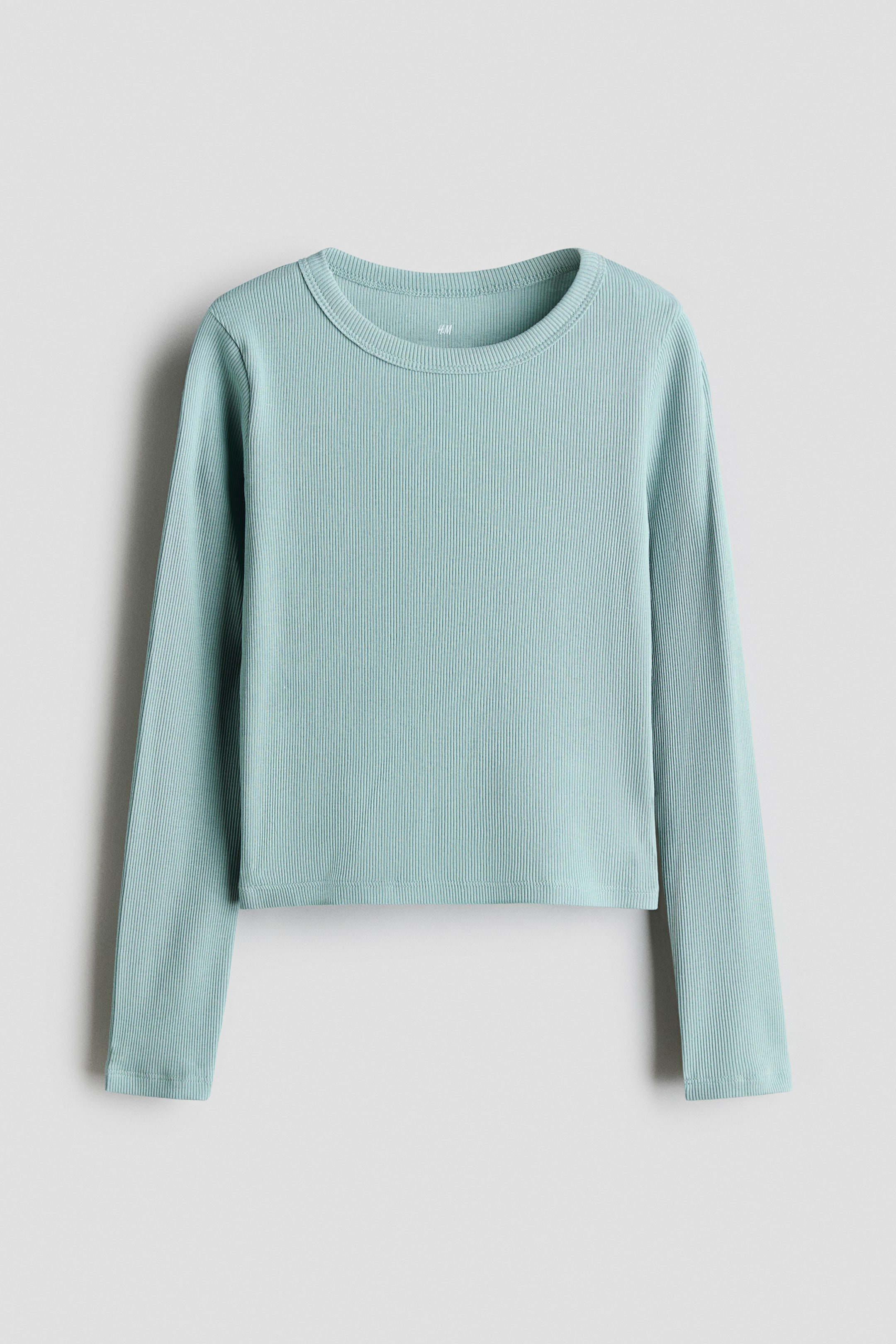 View larger image: A light mint green long-sleeve top in ribbed cotton jersey is shown from the front, featuring a round crew neckline, long sleeves, and a straight-cut hem.