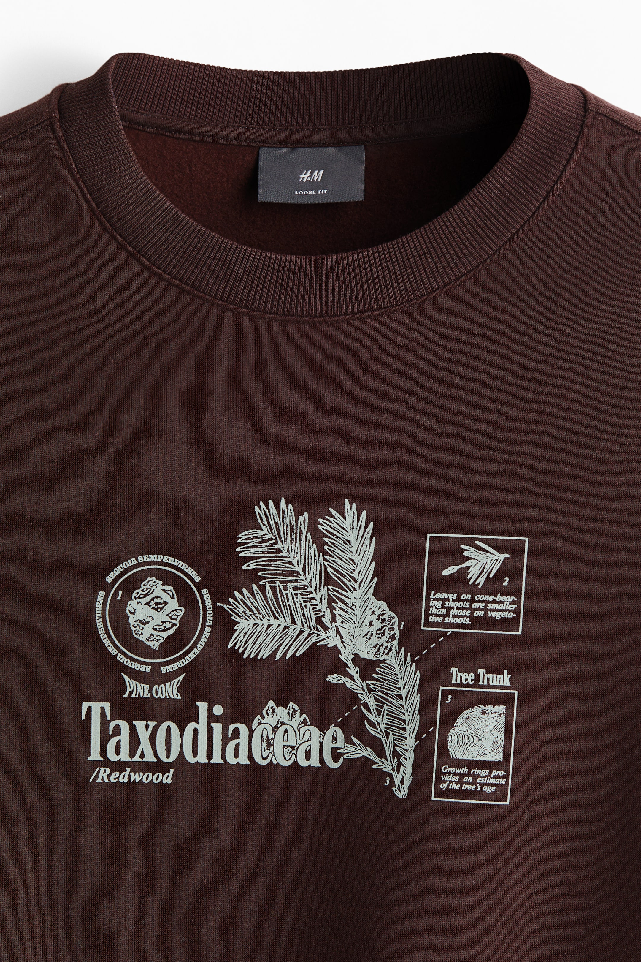 Visa större bild: Sweatshirt med tryck Loose Fit - Mörkbrun/Taxodiaceae - HERR | H&M SE 3