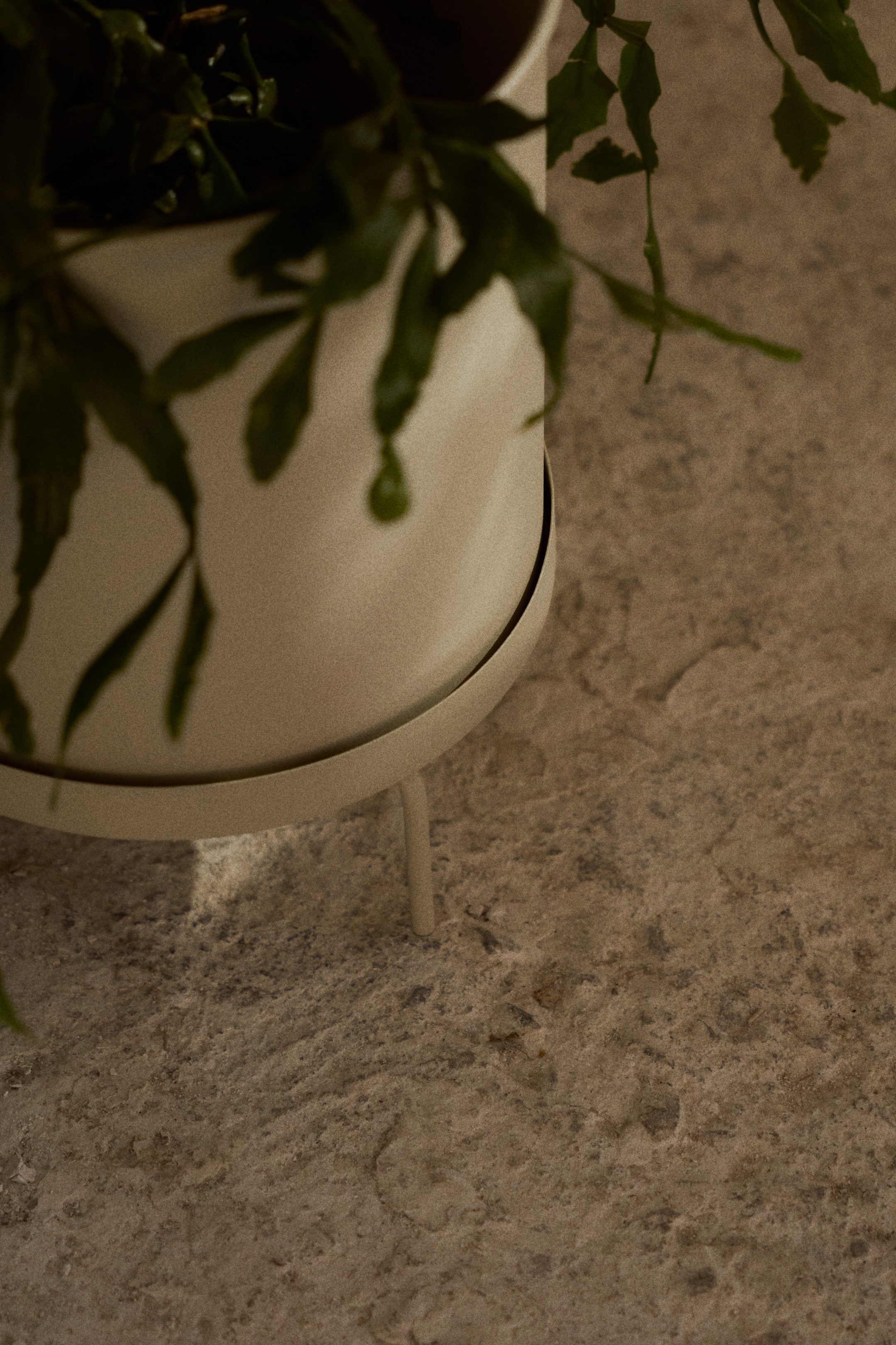 View larger image: A light-colored cylindrical planter holds a green plant. It rests on a matching saucer stand with slender legs.