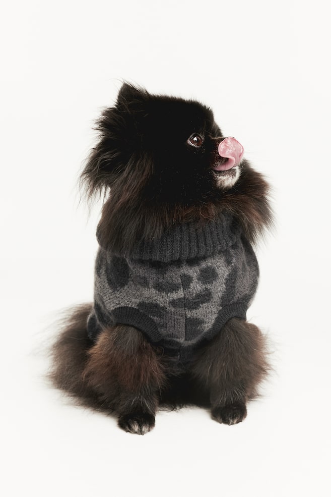 Pull jacquard pour chien - Noir/imprimé léopard - 2