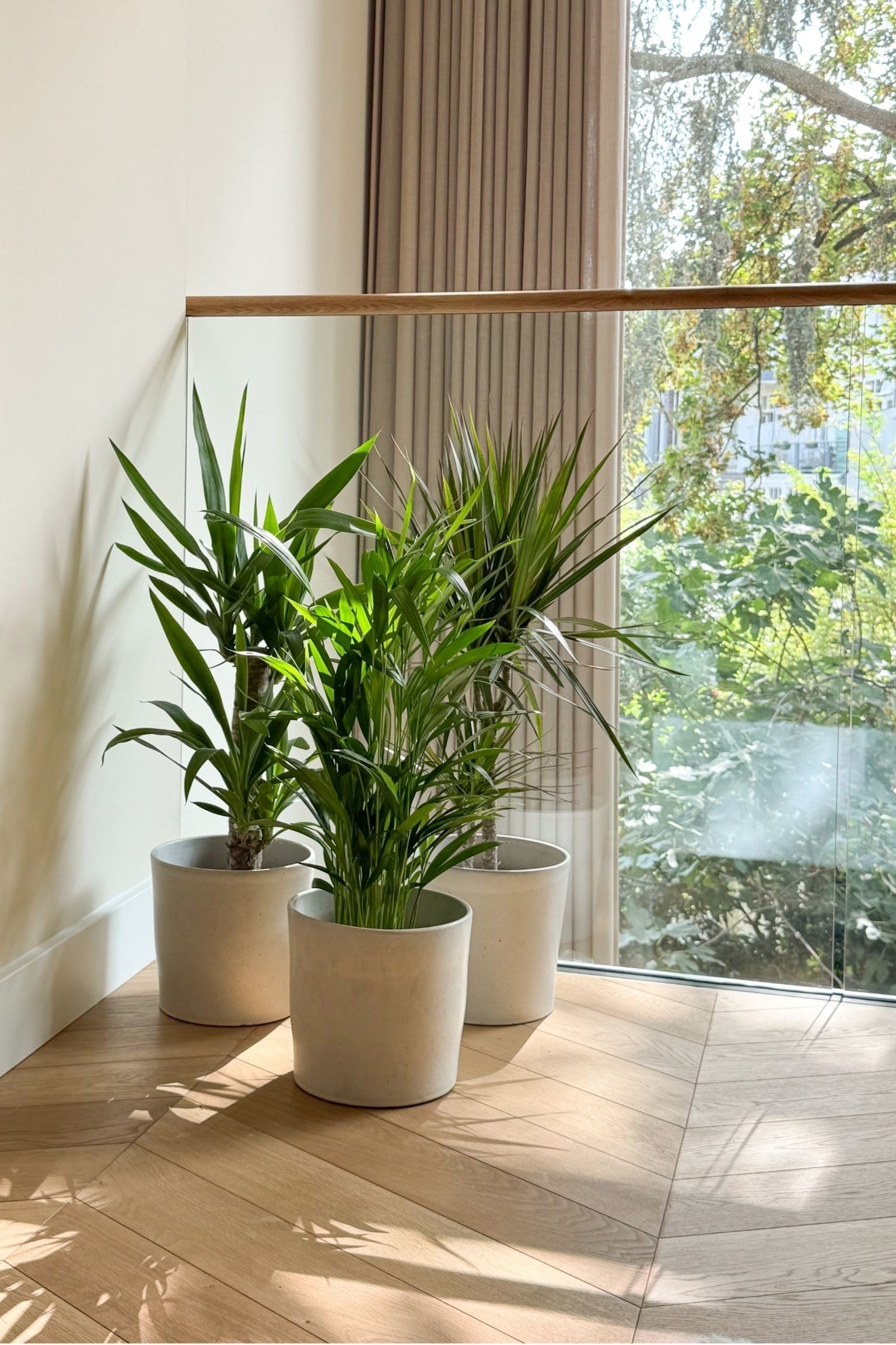 Mélange De Palmiers D'intérieur - Set De 3 - H 70cm - 2