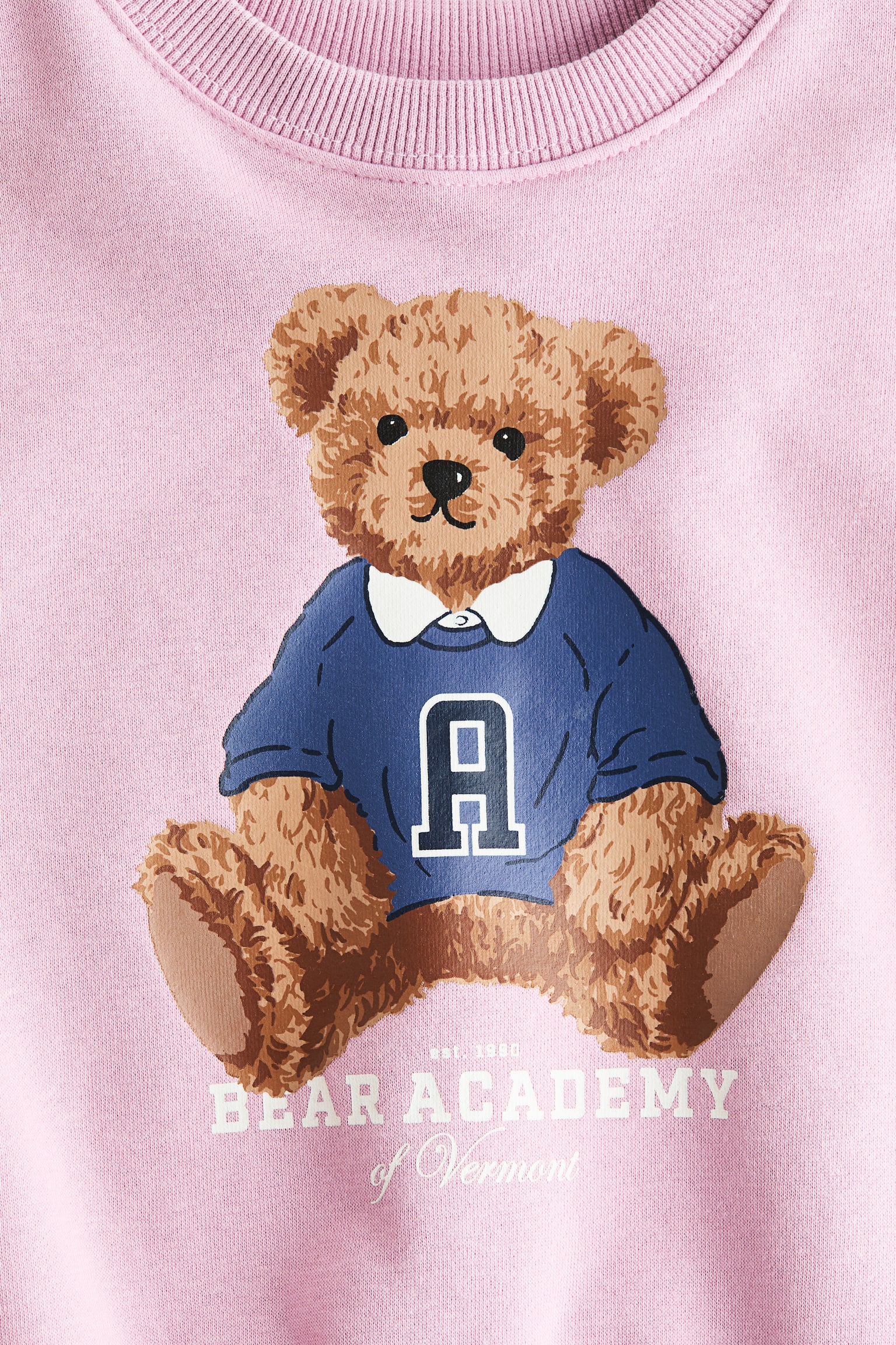 Printed brushed-inside sweatshirt - Pink/Bear Academy/Light pink/Floral/Cream/Cat/Light beige/Unicorn/Light pink/Deer/Cream/Cherries/Light pink/Horses/Light pink/Unicorns/Cream/Bow/Pink/Strawberries - 2