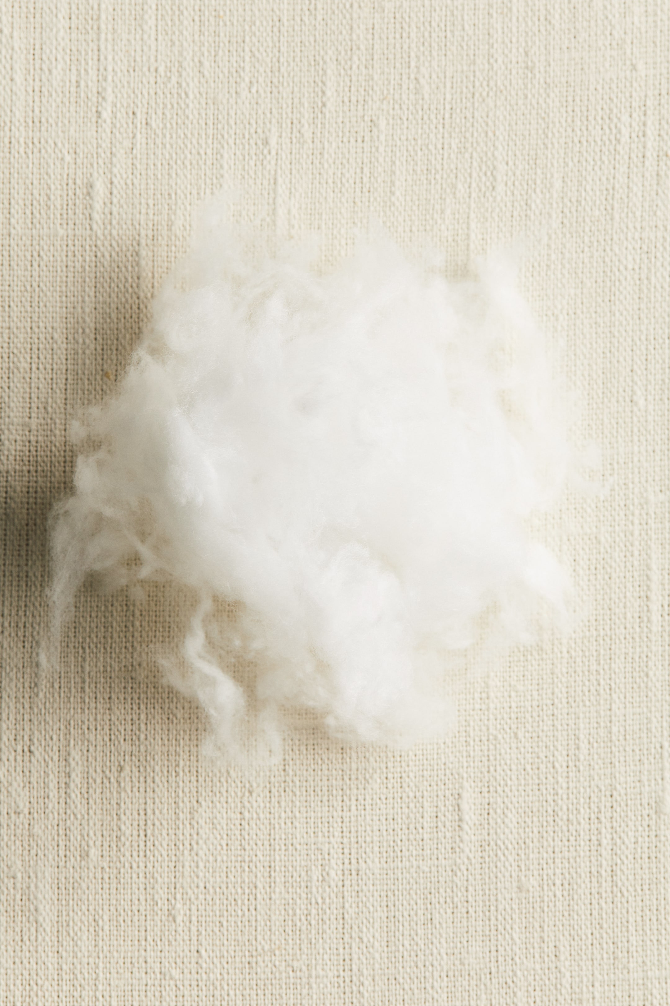 Größeres Bild ansehen: Ein flauschiges, weißes, faseriges Material bildet einen unregelmäßigen Haufen.