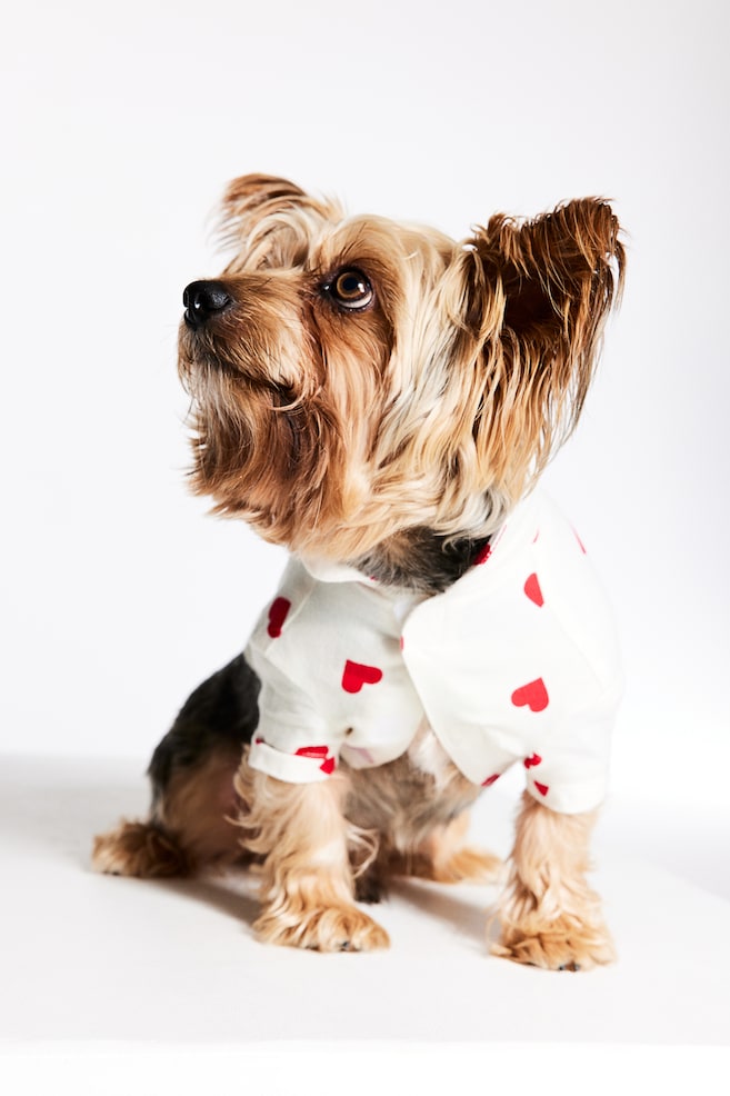 Dog shirt - White/Hearts/Red/Checked - 3