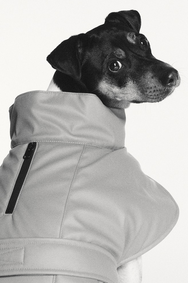 Coated dog jacket - Brown - 4