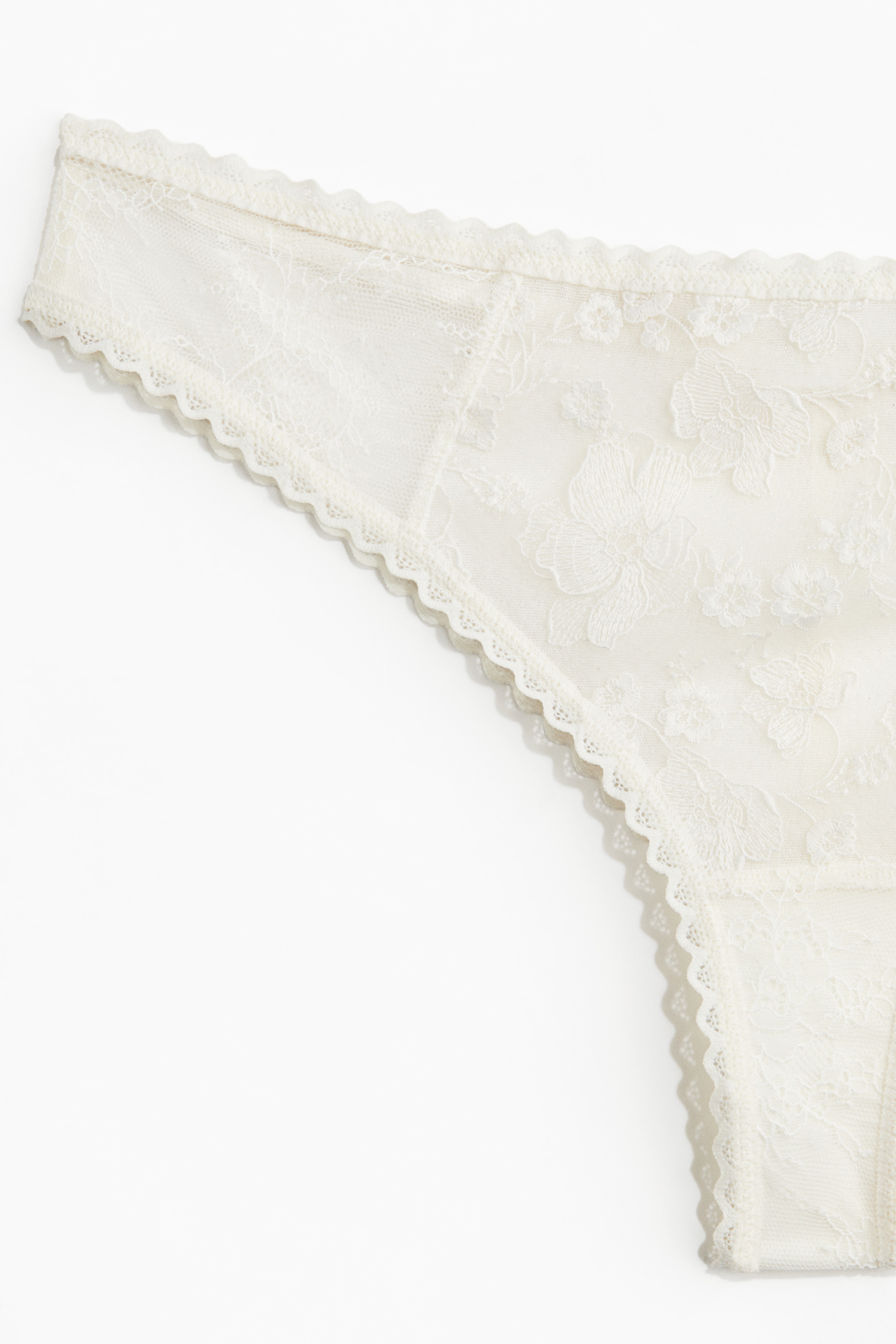 Embroidered Lace Brazilian Briefs
