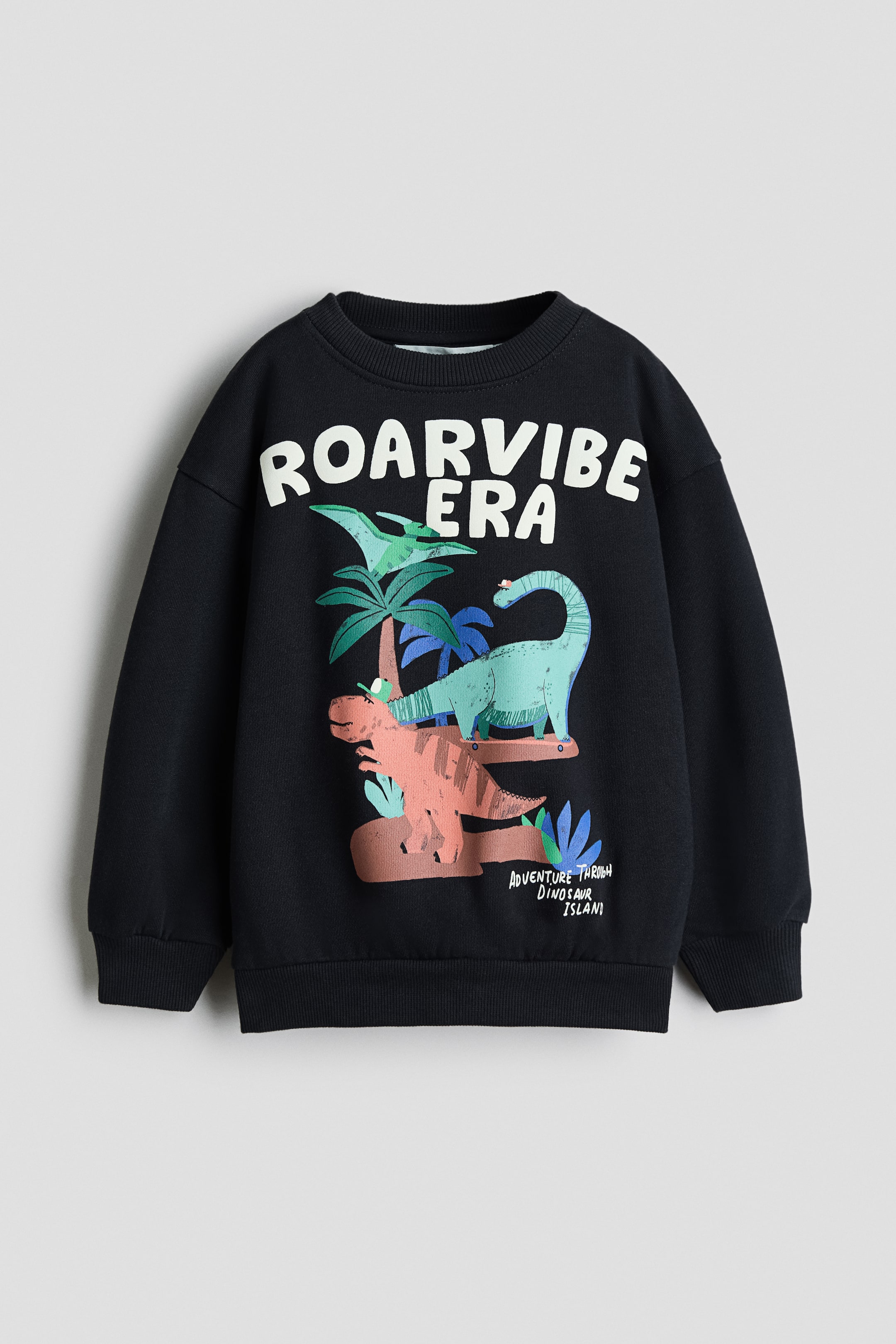 Ver imagen más grande: Se muestra una sudadera negra de manga larga desde el frente, con cuello redondo de canalé, hombros caídos y puños y bajo de canalé. En el pecho presenta un estampado colorido de dinosaurios y palmeras bajo el texto blanco en negrita «ROARVIBE ERA».
