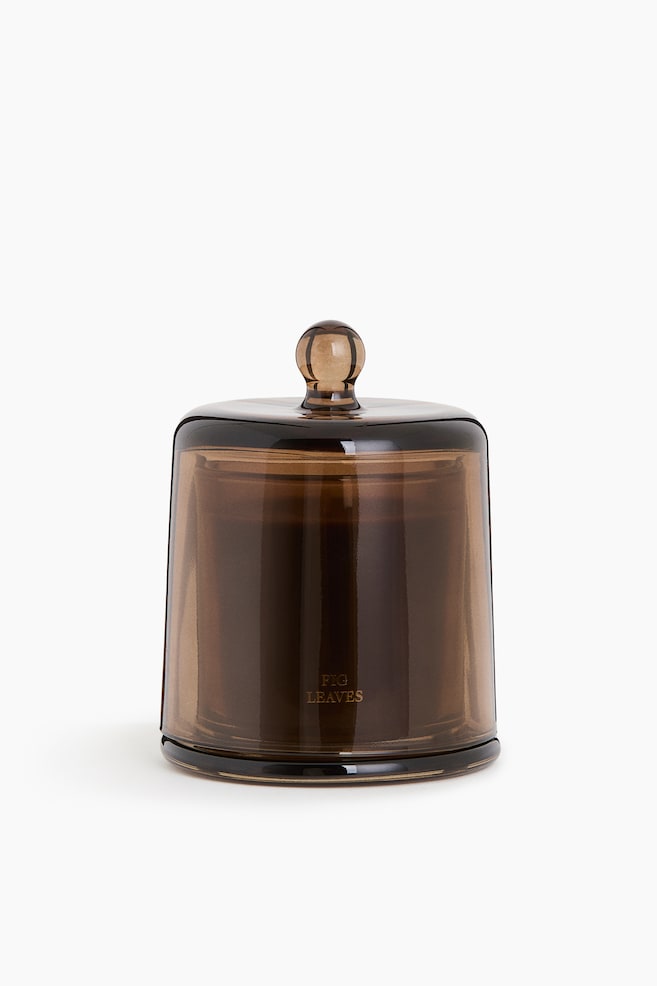 Candela profumata con cloche - Fig Leaves/Patchouli Vetiver/Cedarwood Pepper/Rose Geranium - 1