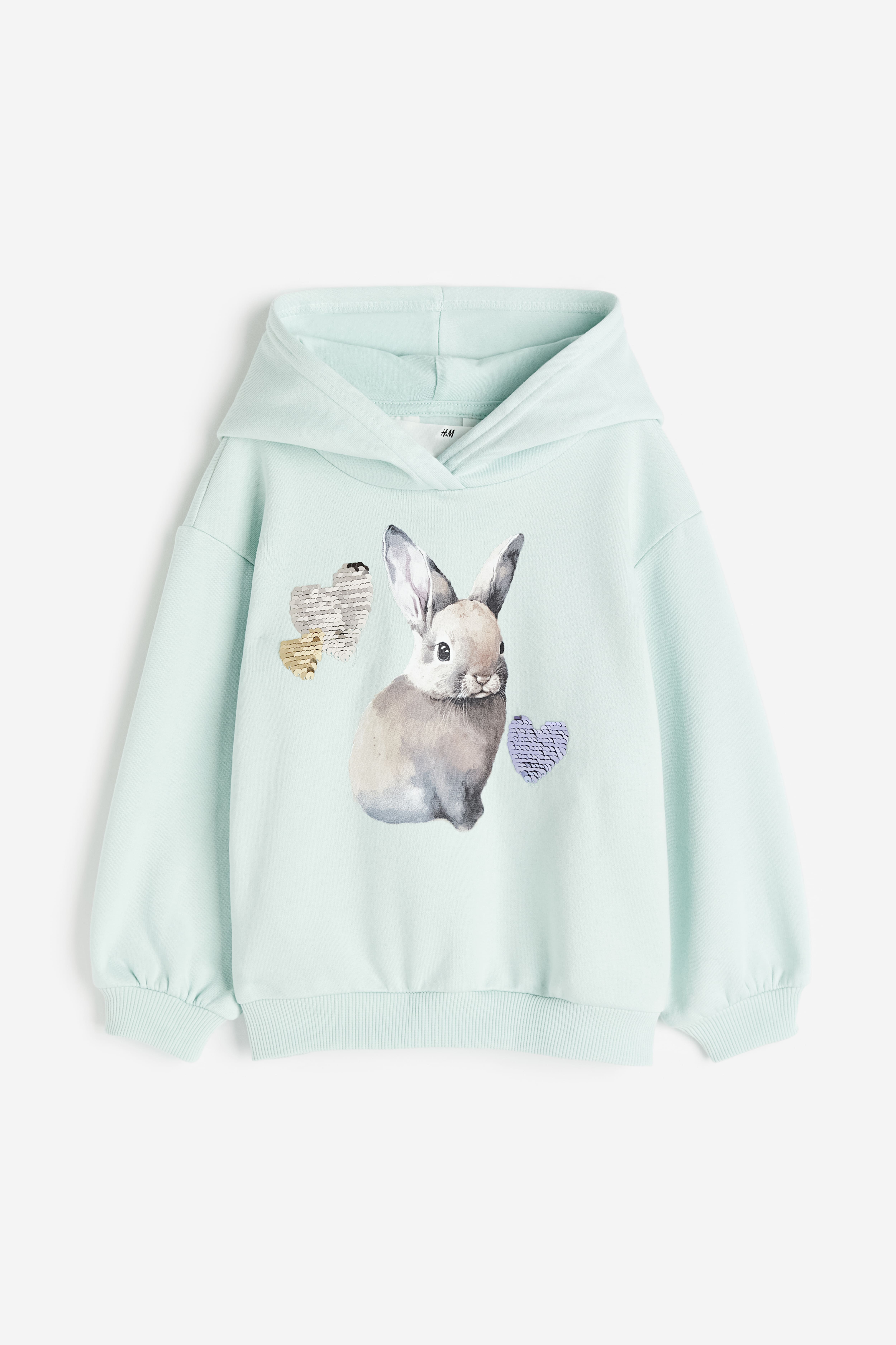 Printed Hoodie - Light green/rabbit - Kids | H&M US