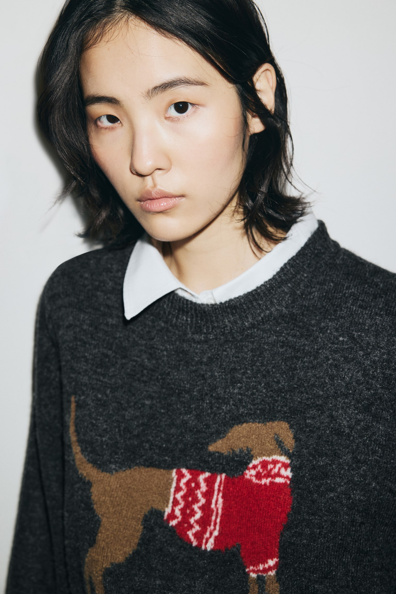 Suéter oversized en tejido jacquard - Gris jaspeado oscuro/Perro/Rojo/Diseño/Azul oscuro/Perros salchicha - 4