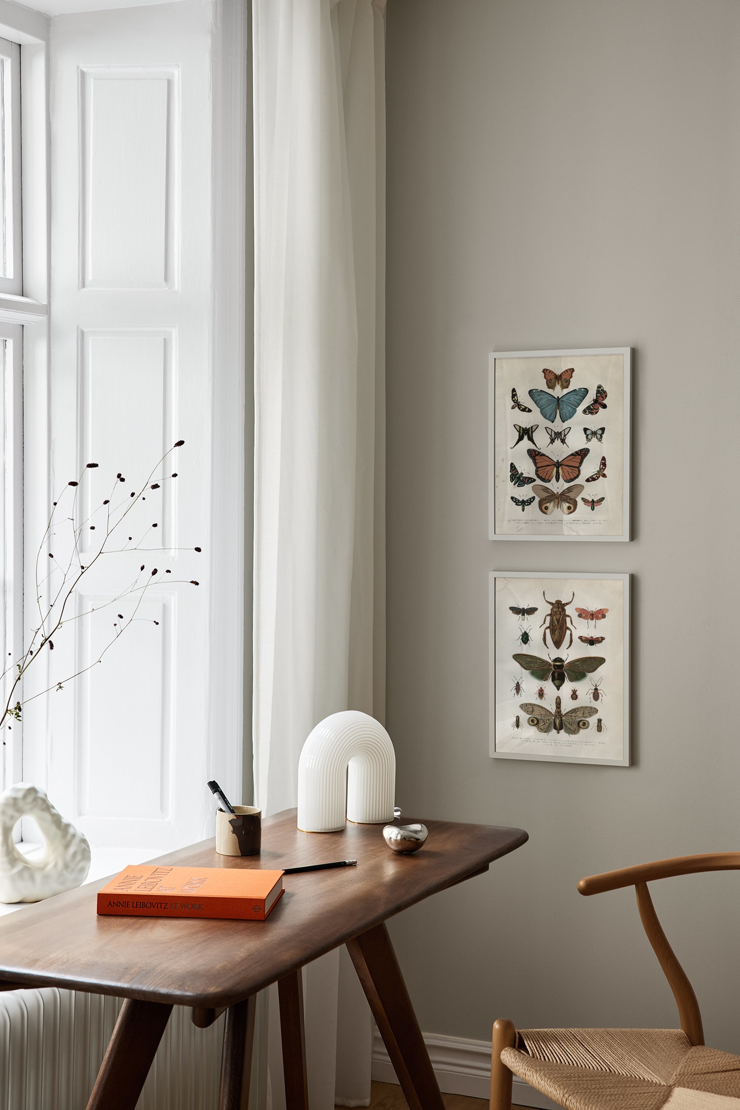 Vintage Insects Poster - Braun