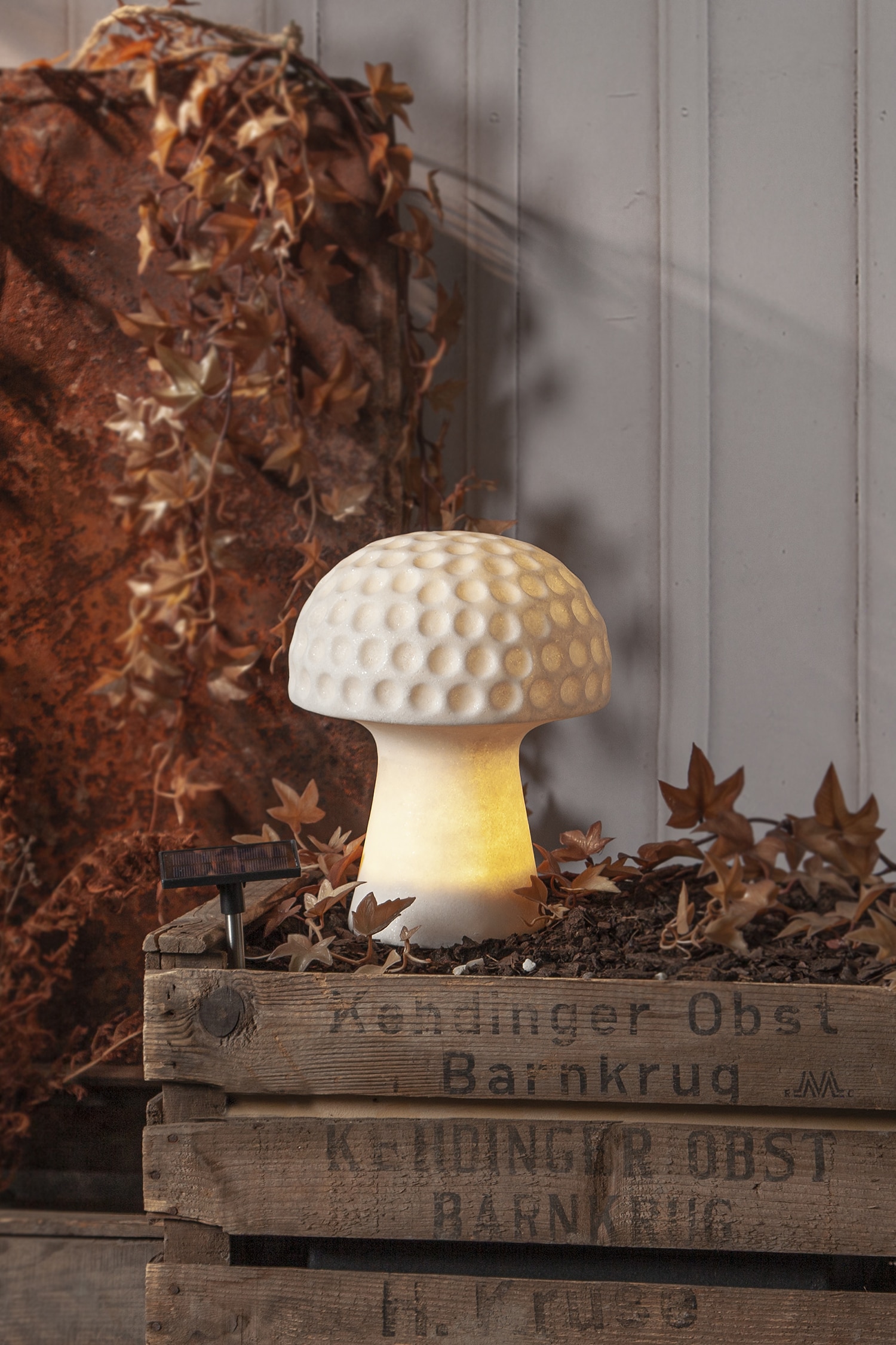 Aurinkokennovalaisin Sandy 24 Cm - Valkoinen