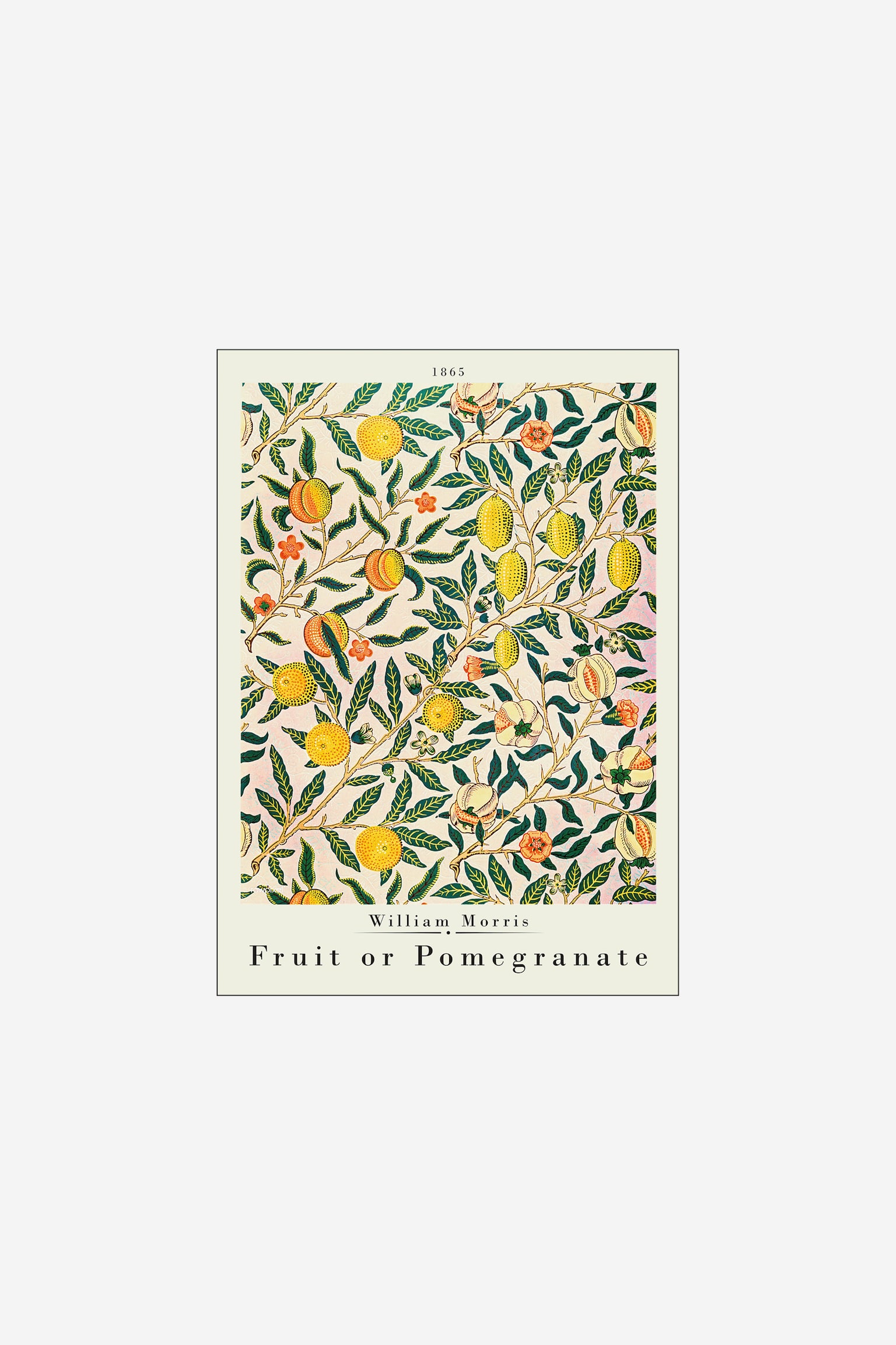 William Morris - Pomegranate - Bunt/obst - 1