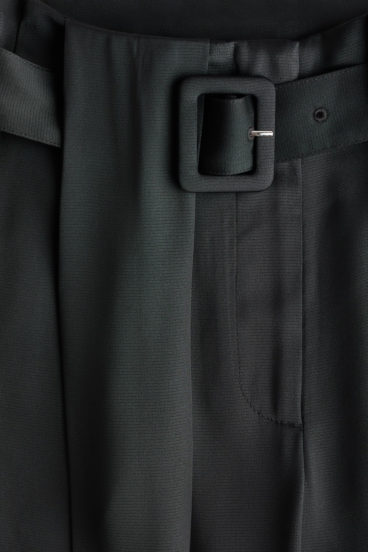 Belted Pleat-Detail Pants - image 4