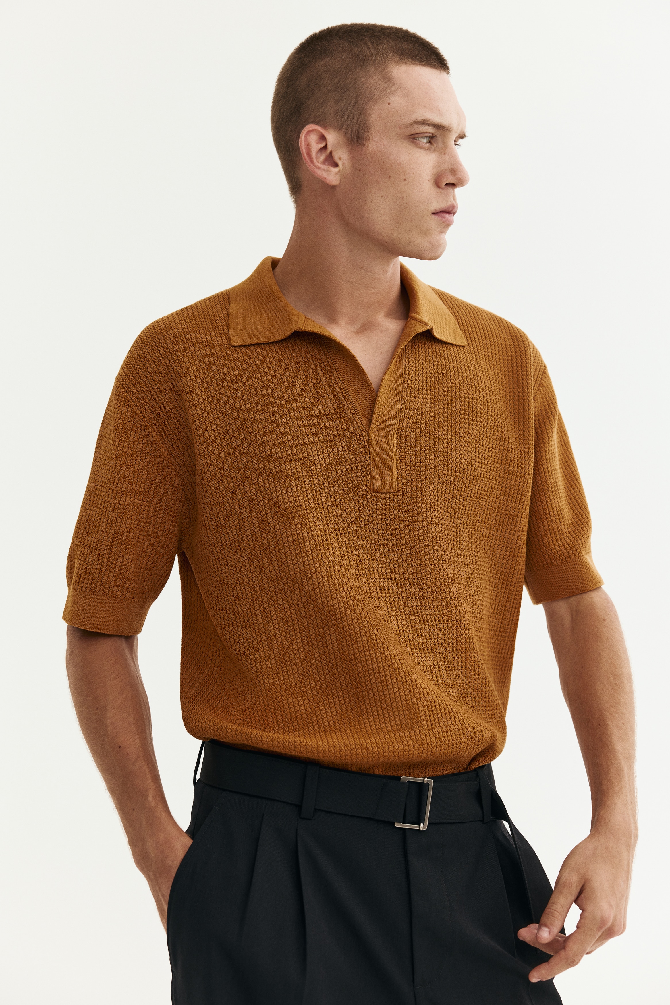 Regular Fit Knitted polo shirt - Dark beige/Green/Dark brown/Cream