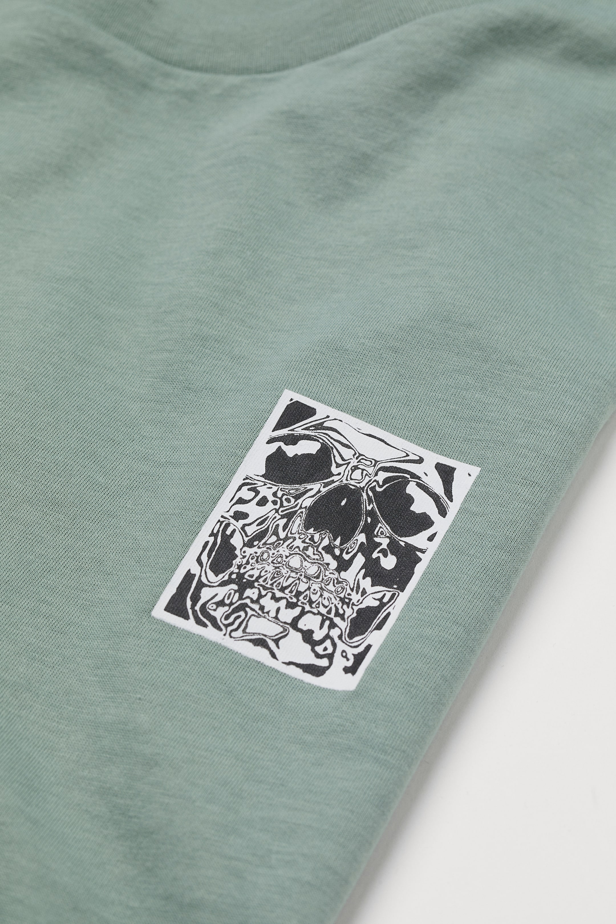 View larger image: Regular Fit T-shirt - Sage green/Skull - Men | H&M IN 2