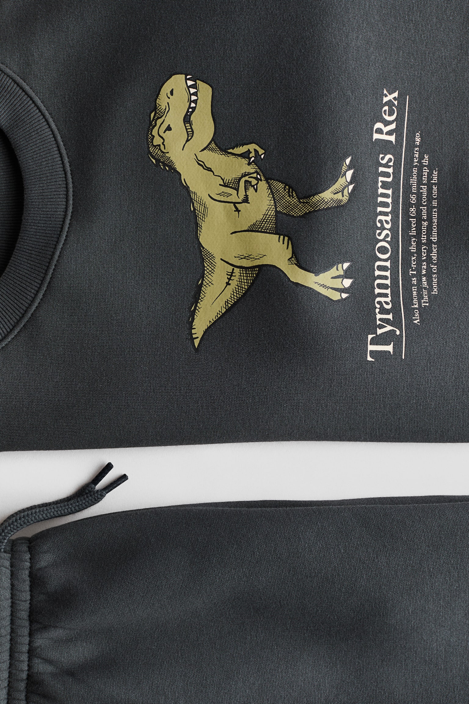 2 Parçalı Sweatshirt ve Jogger Pantolon Set - Dark grey/Dinosaur - 2