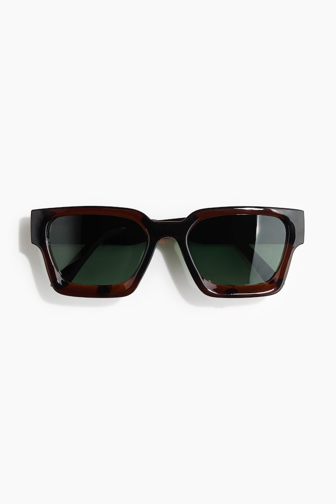 Polarized Sunglasses - Brown/tortoiseshell pattern/Light gray - 1