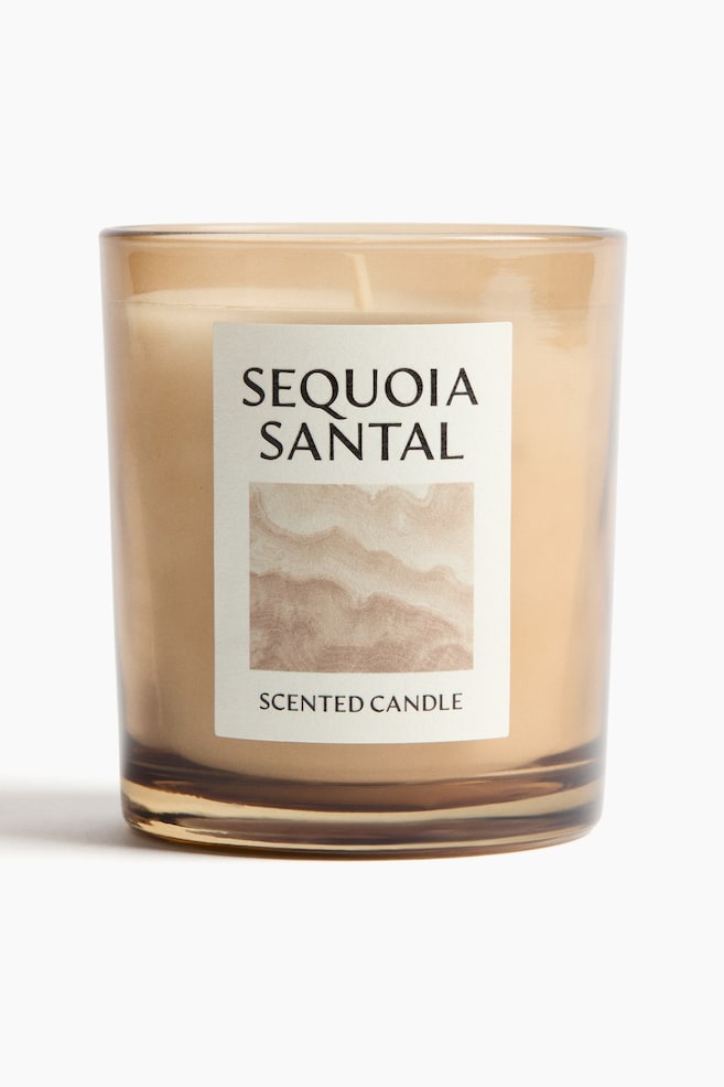 Geurkaars in glazen houder - Sequoia Santal - 1