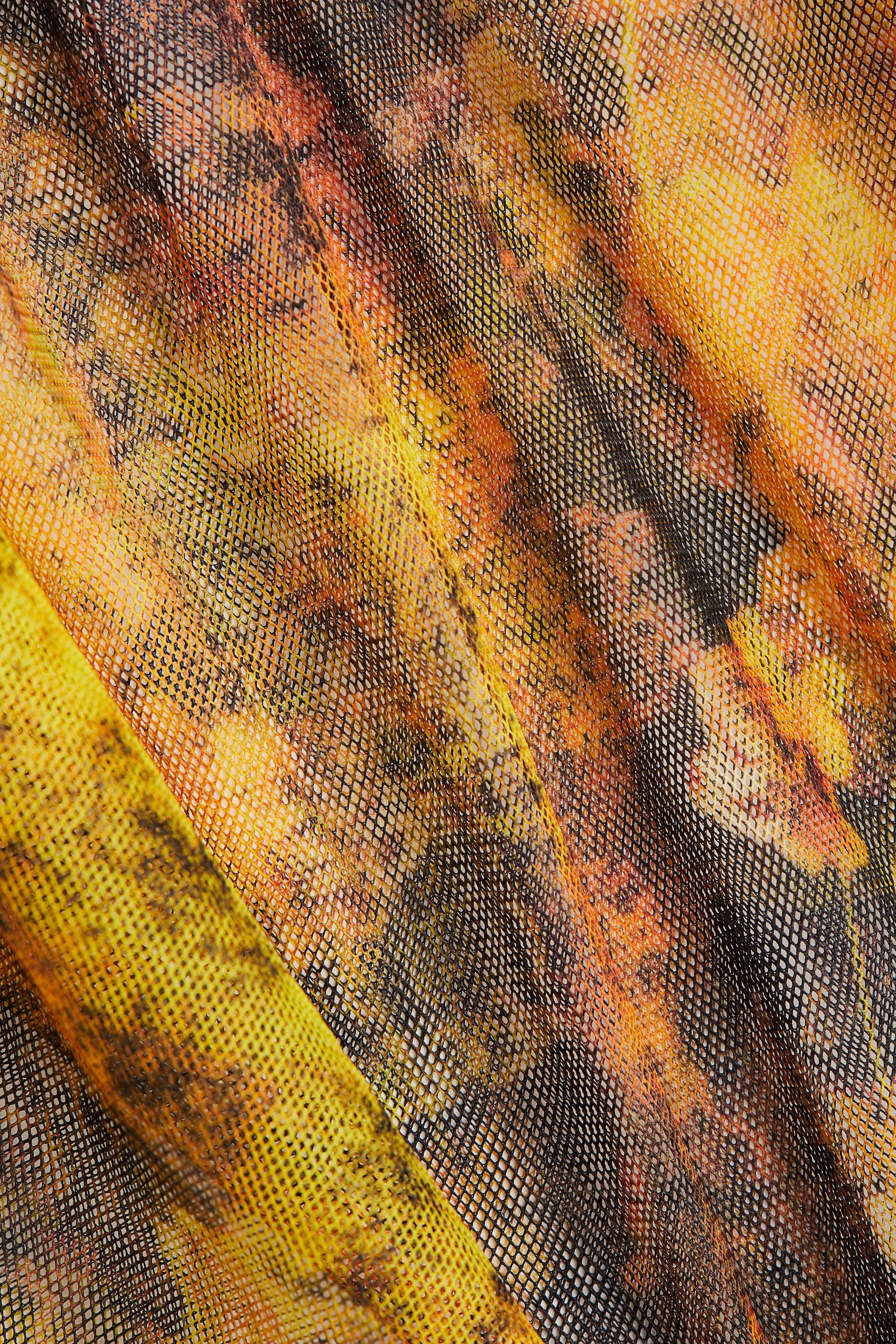 拡大画像を表示: ドレープメッシュトップス - ブラック／フローラル - レディース | H&M JP 5