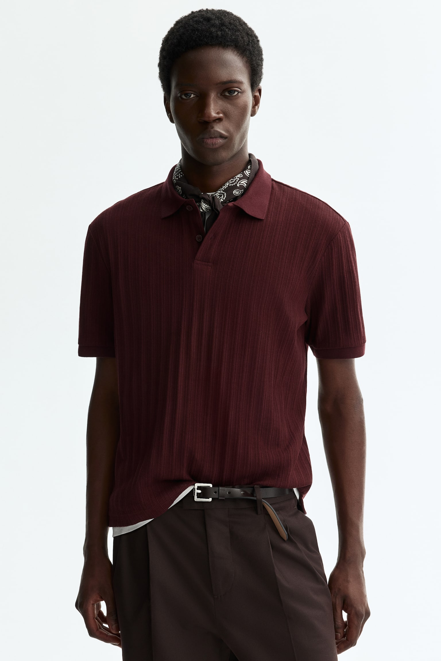 Áo polo jersey vân nổi Slim Fit - Màu đỏ rượu/Màu xanh tím than - 2