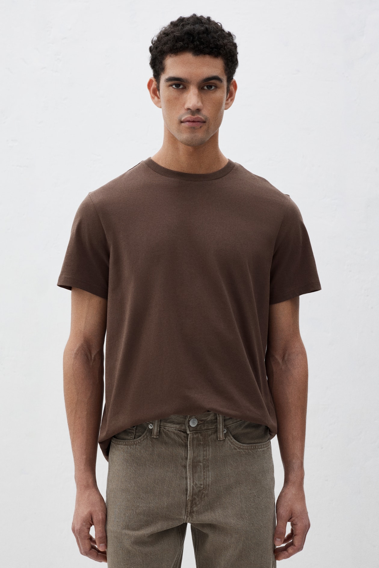 Regular Fit T-shirt Brown Men H&M IN