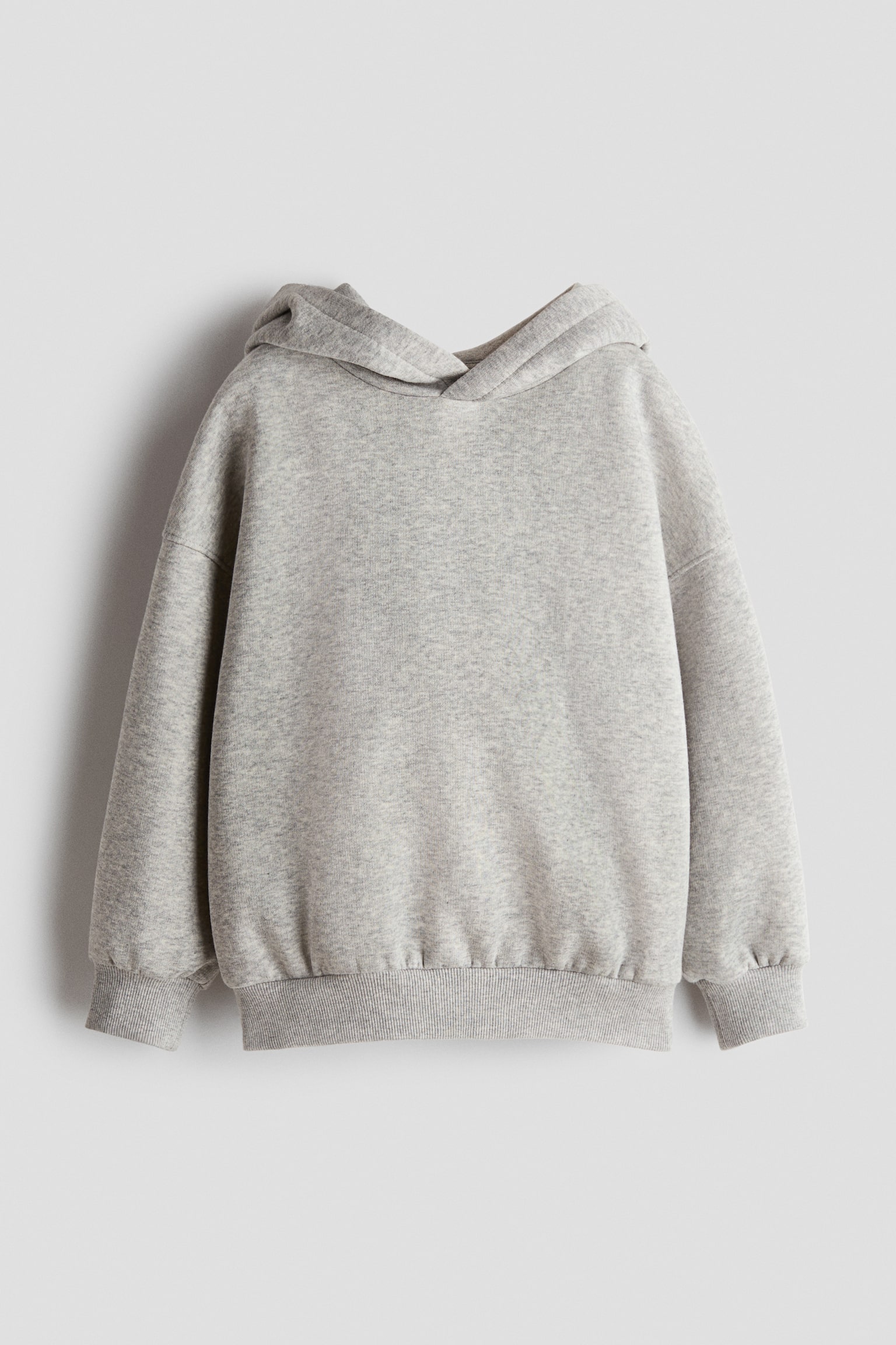 Hoodie met geruwde binnenkant - Lichtgrijs/Lichttaupe/Donkerbruin/Donkerturkoois/dino's - 1