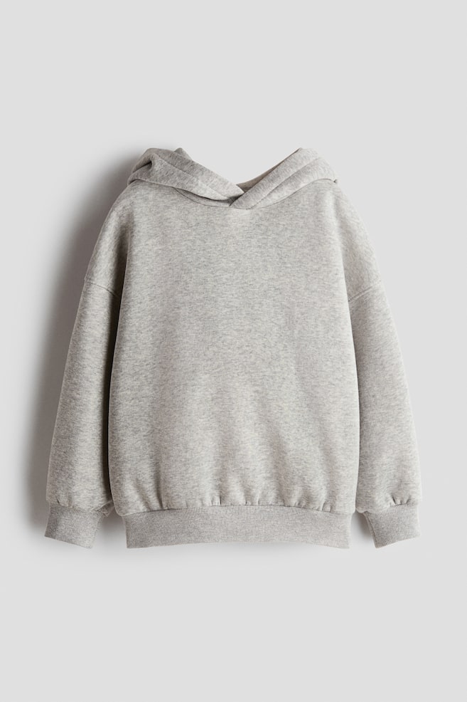 Hoodie à l'intérieur brossé - Gris clair/Marron foncé/Taupe clair/Turquoise foncé/dinosaures - 1