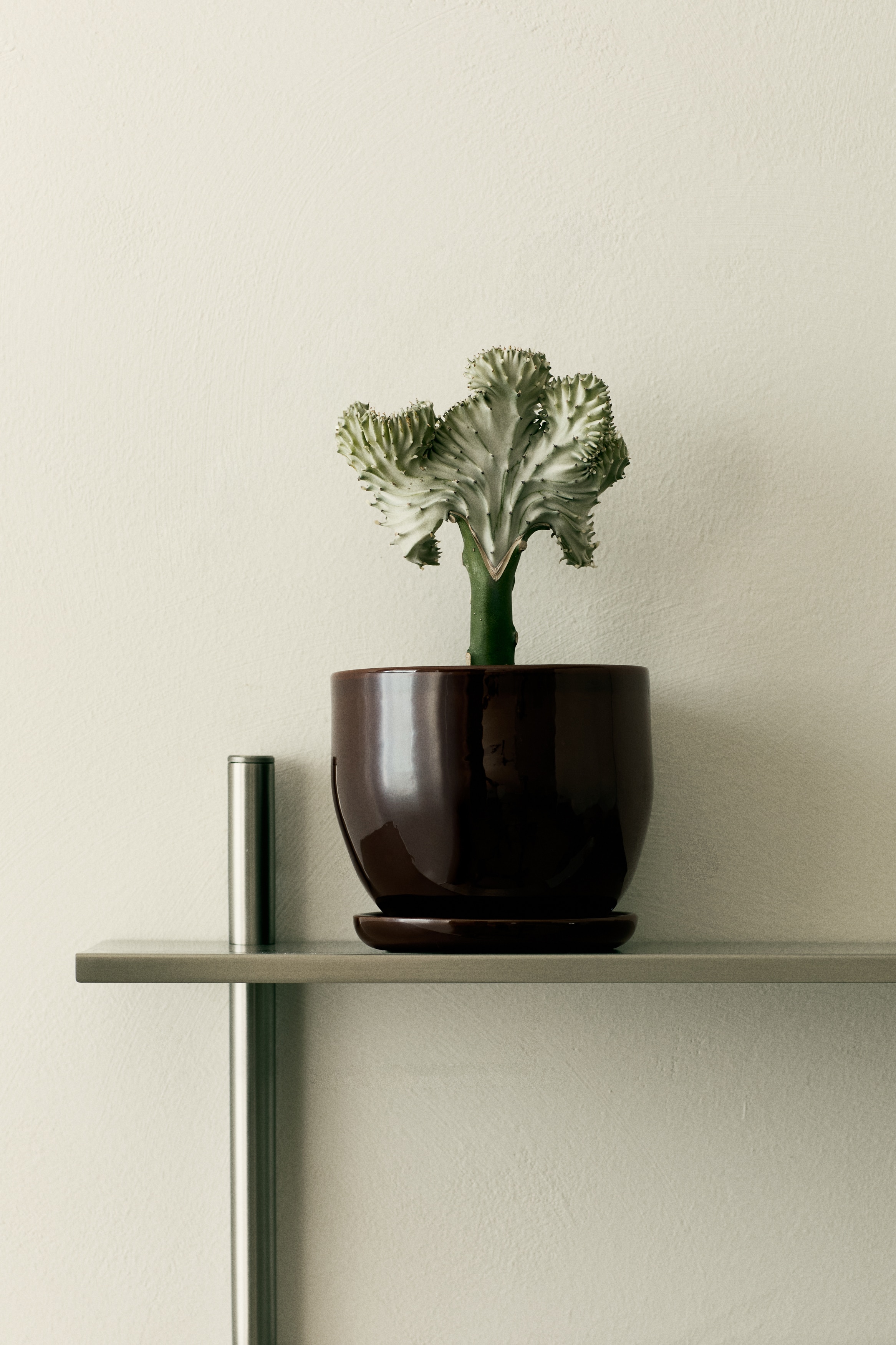 Vaso e sottovaso in terracotta - Marrone scuro/Beige chiaro