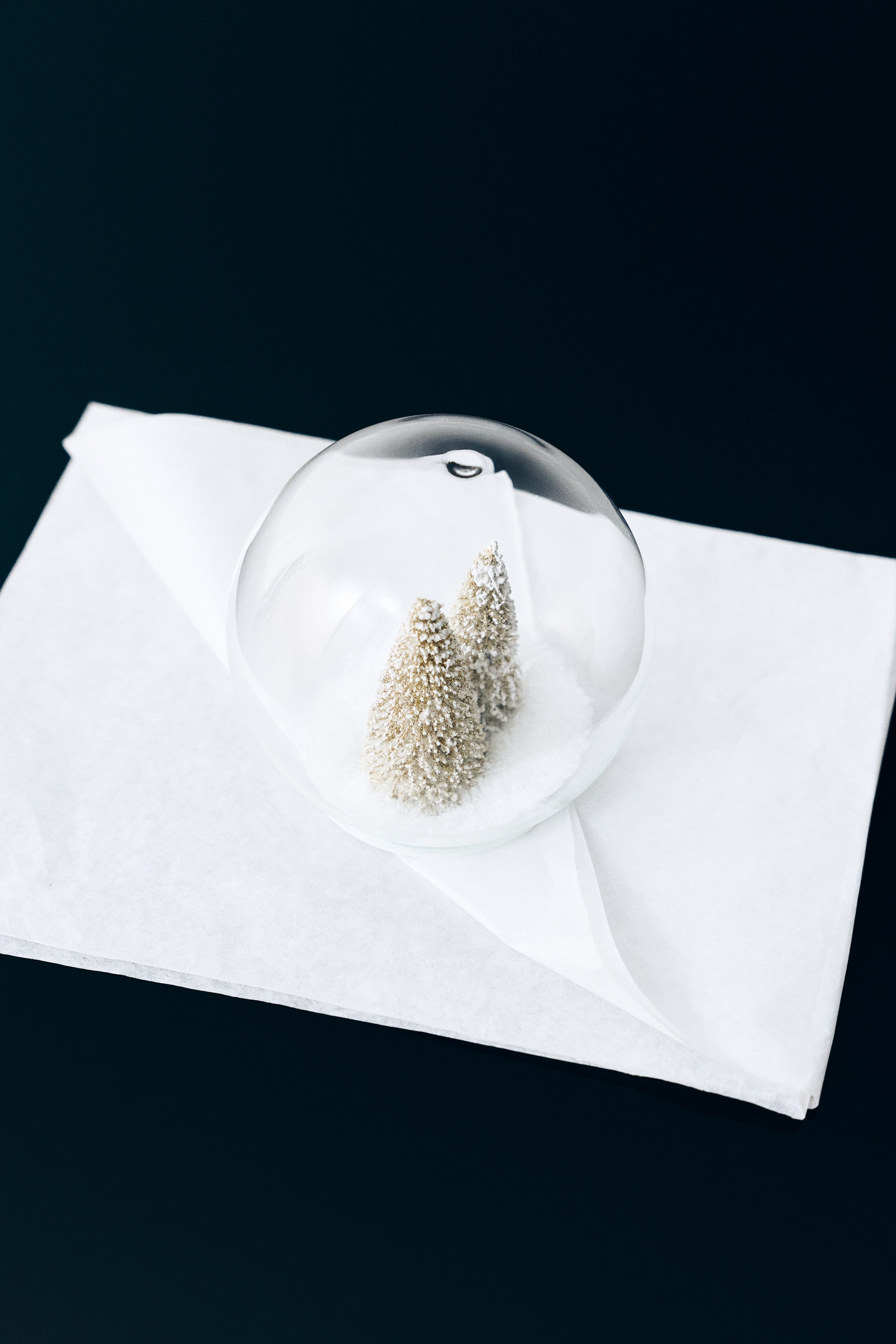 Boule à neige en verre