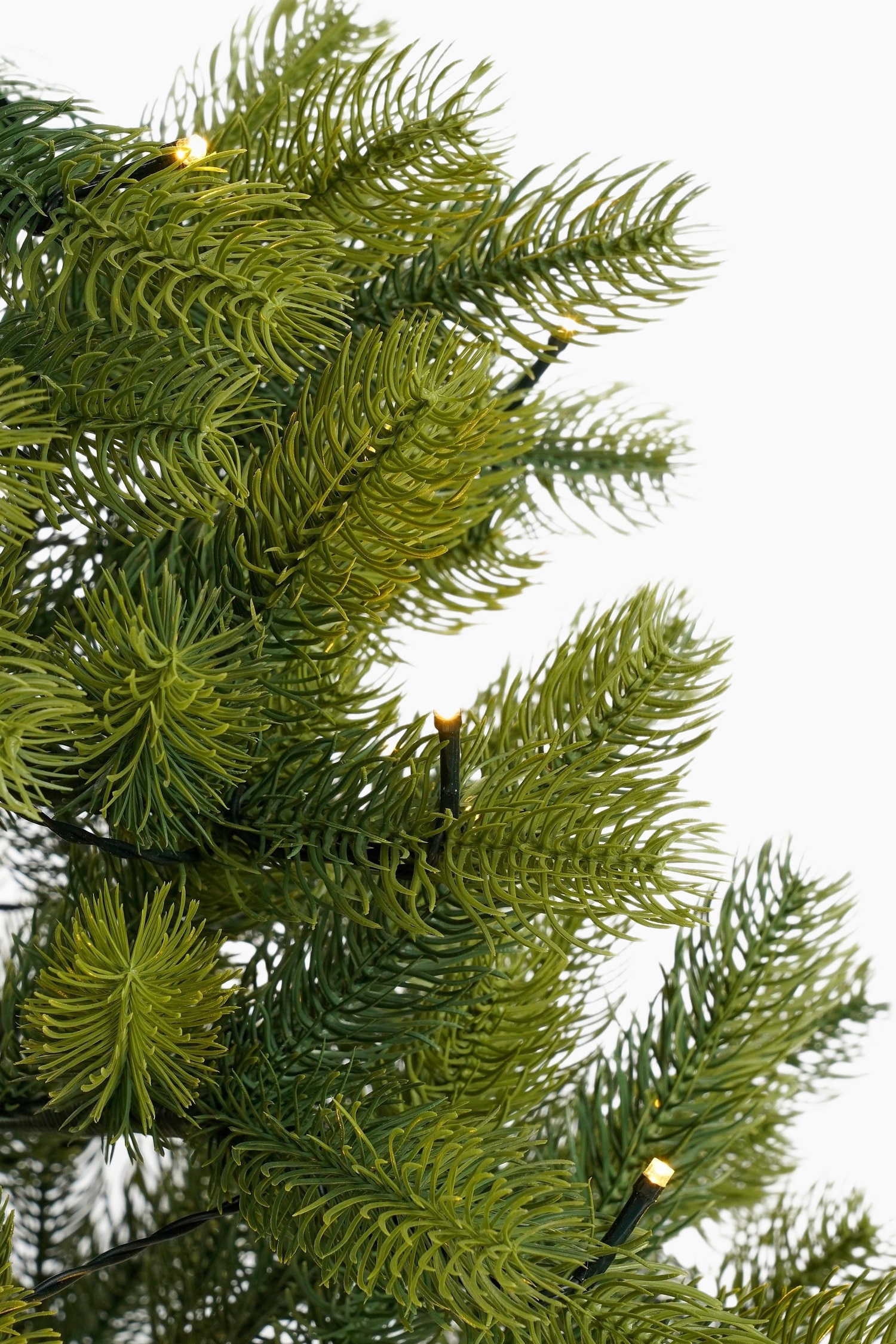 Black Box Trees Charlton Künstlicher Weihnachtsbaum – 155 Cm Hoch, Mit 100 LED-Lichtern, Grün