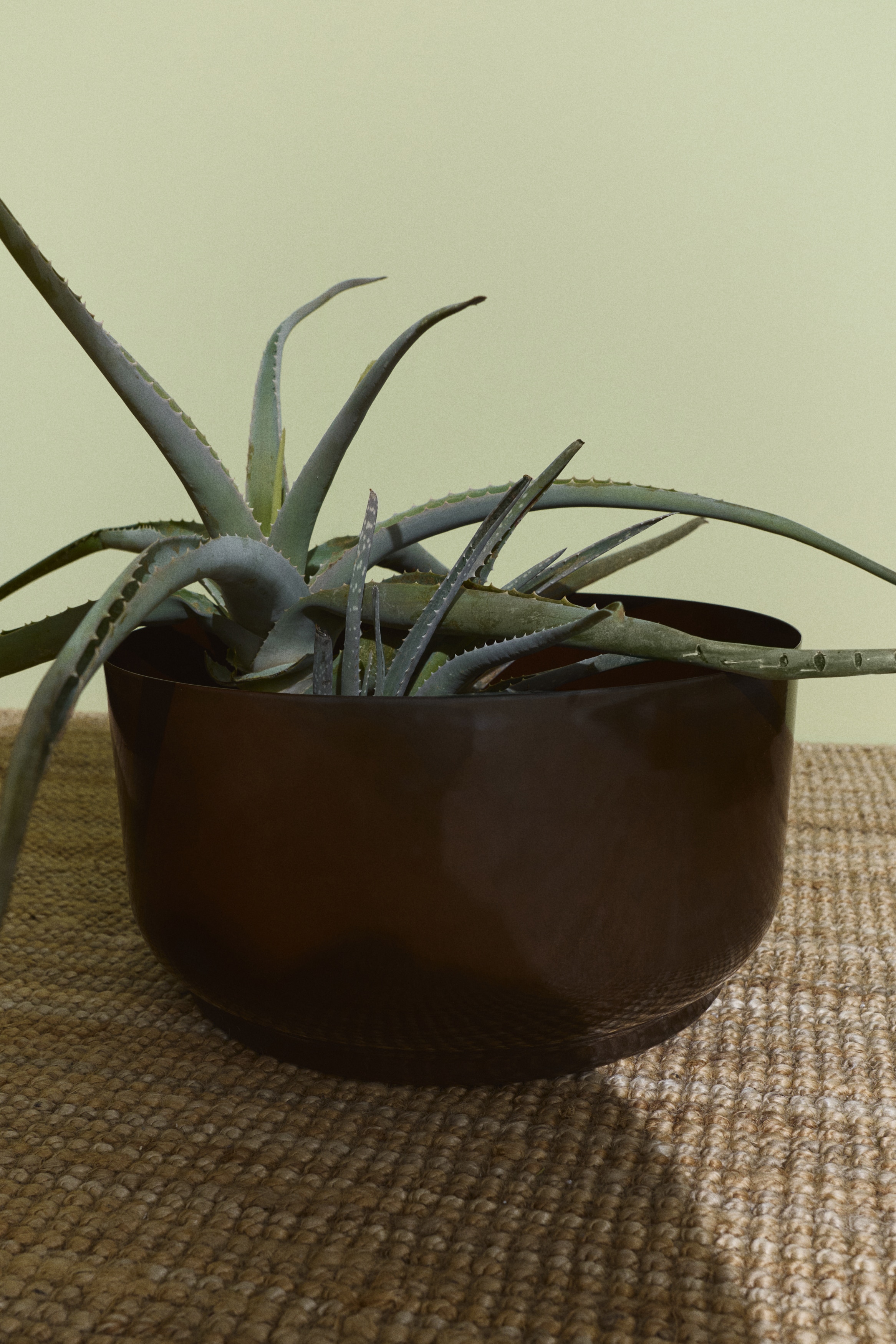 Brede metalen bloempot - Donkerbruin/Groen/Zandbeige