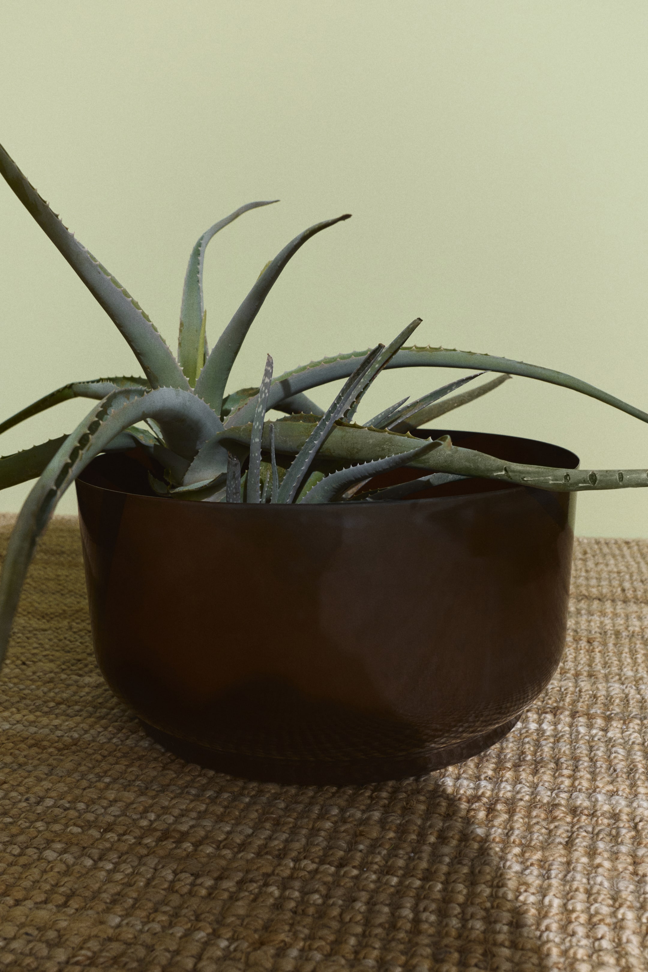 Vezi imaginea mai mare: Un ghiveci de plante extra-mare, lat, din metal, este vizibil din față, afișând o formă rotunjită, asemănătoare unui bol, și un finisaj reactiv lucios, de culoare maro închis, care face ca fiecare ghiveci să fie unic în culoare și model.