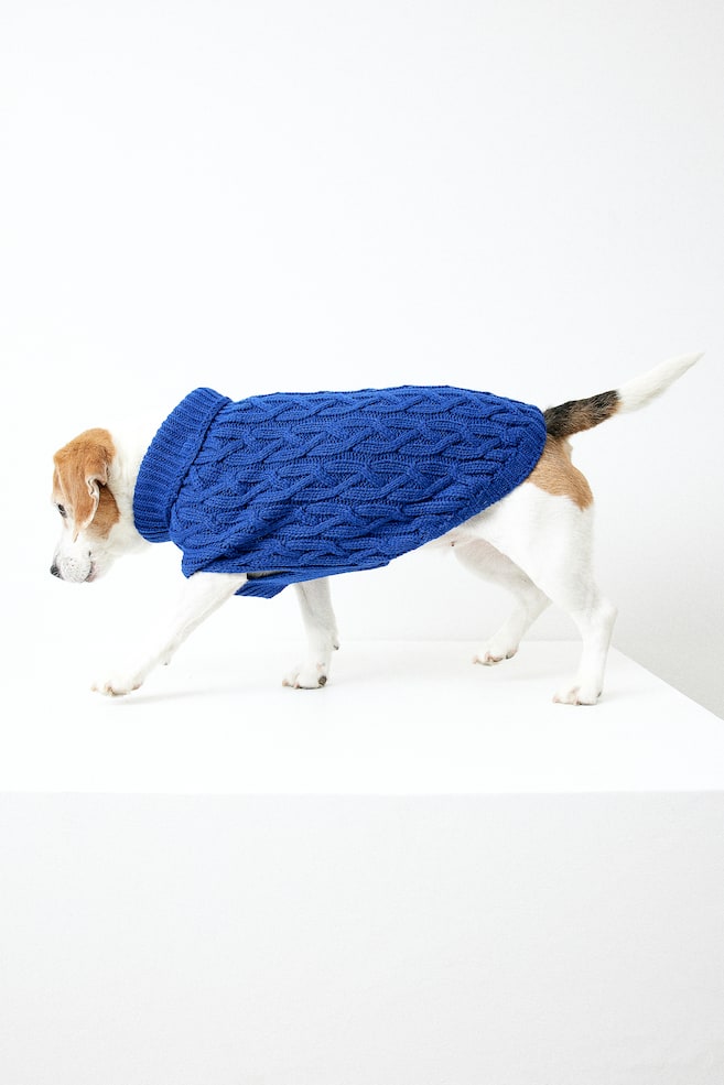 Cable-knit dog jumper - Bright blue/Light beige/Grey marl/Red - 4