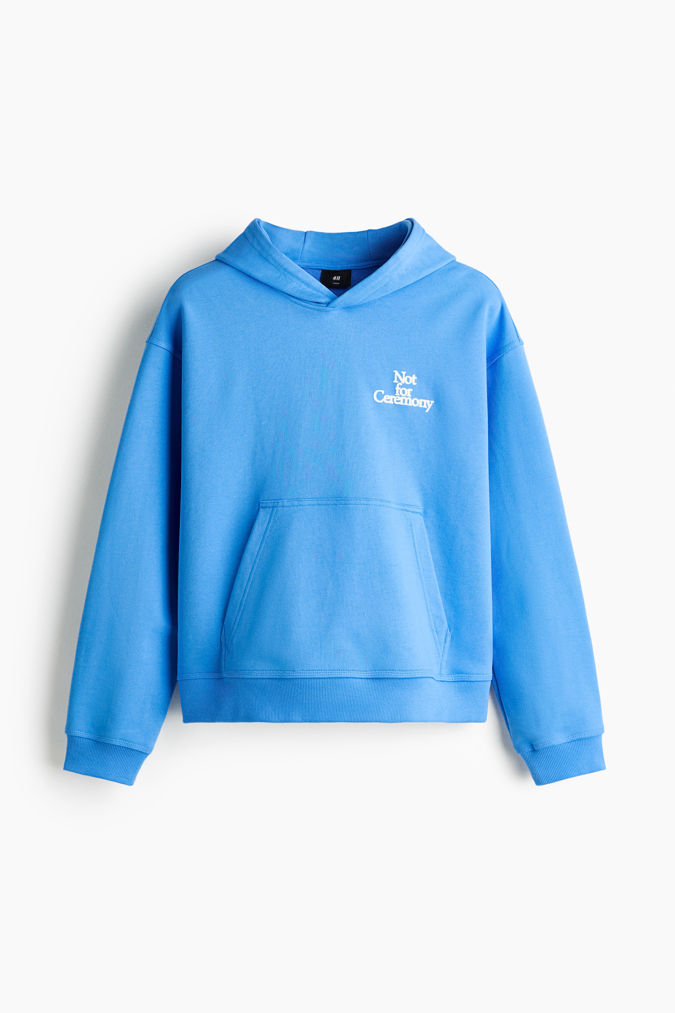 Hoodie mit Motivdetails in Loose Fit - Hellblau/Not for Ceremony/Graumeliert/94/Weiss/Service Garments