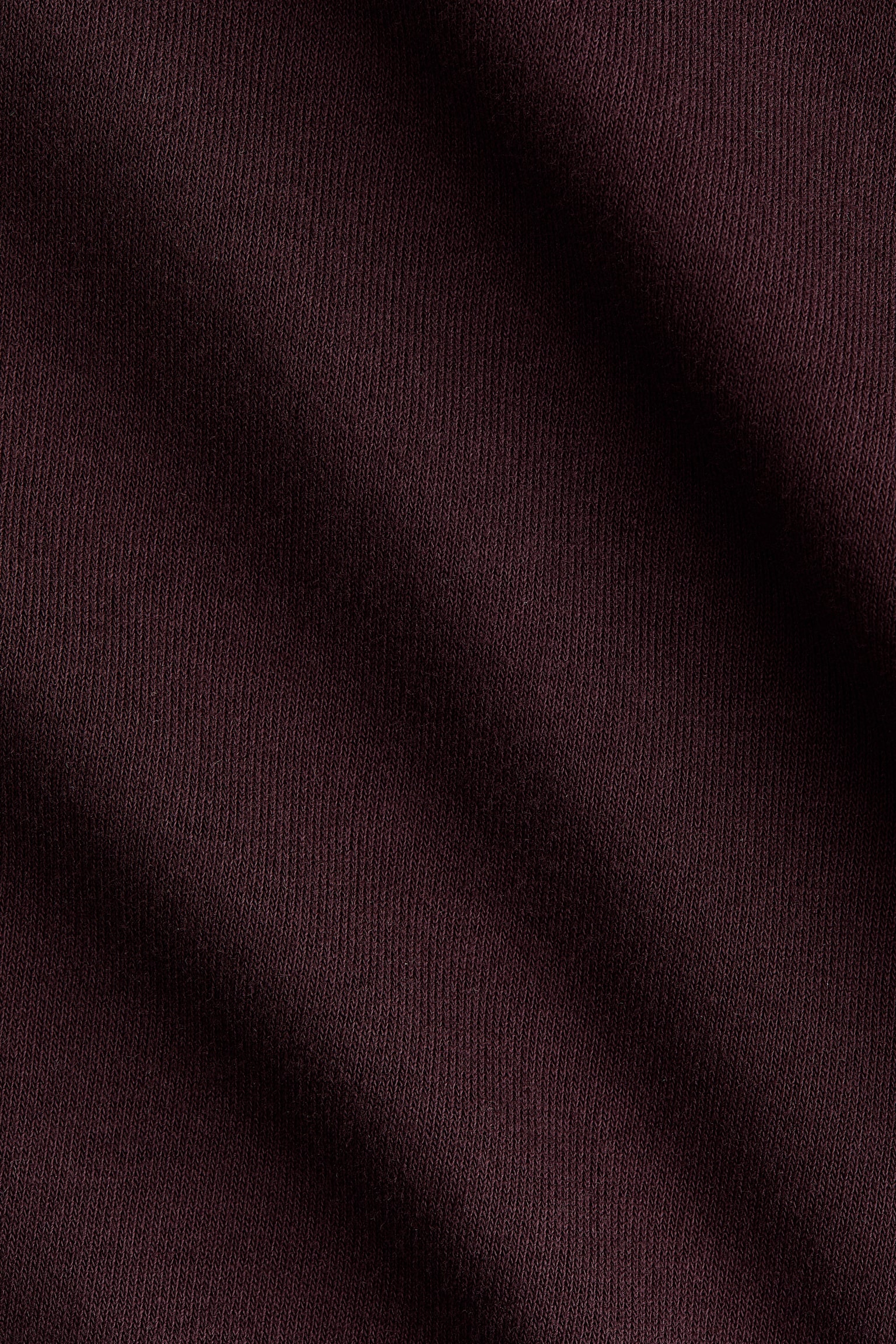 Женский свитшот H&M Sweatshirt with Collar, цвет: Бордовый — фото 6