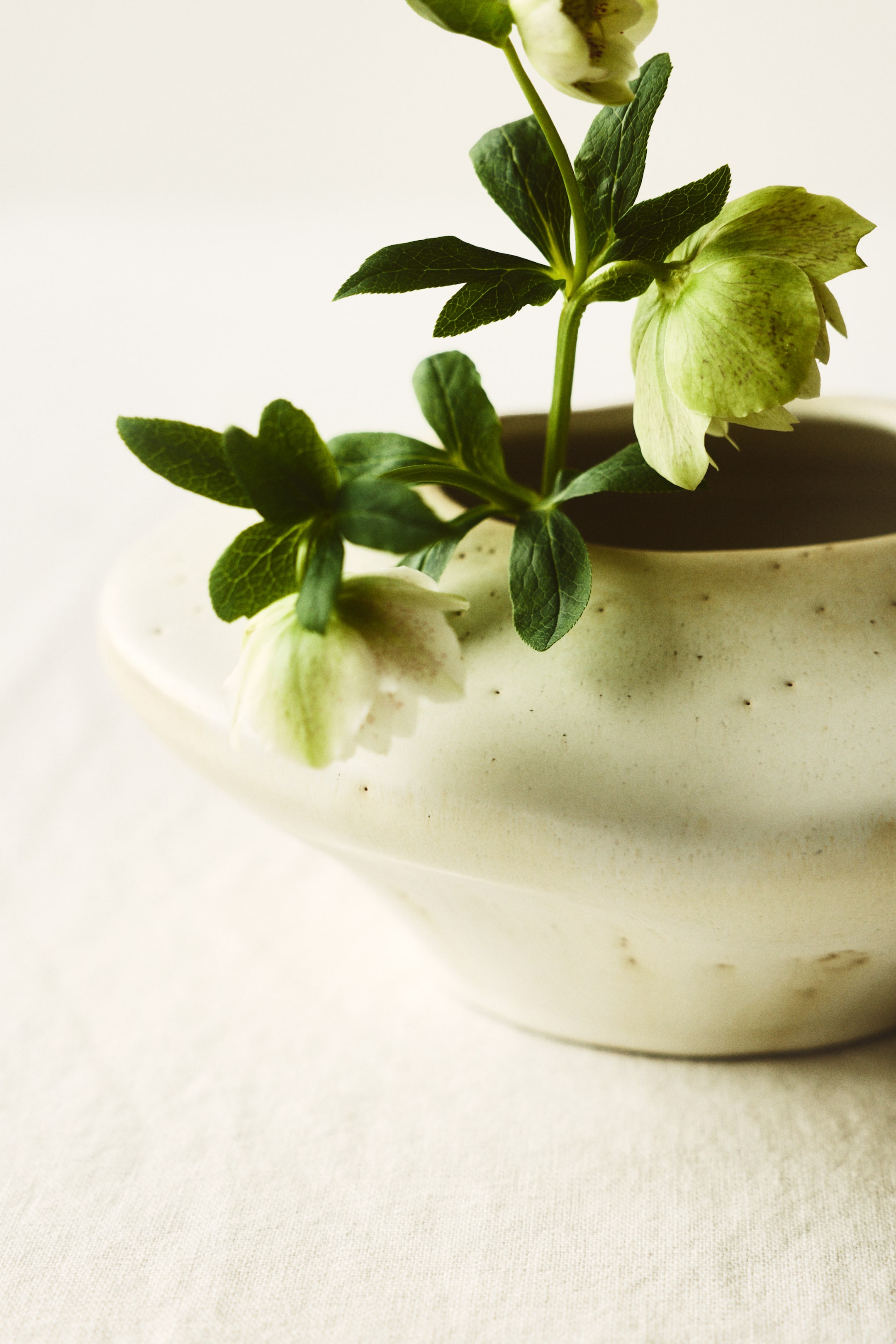 Ampliar la imagen: El florero de ikebana de gres presenta una forma orgánica e irregular con una superficie texturizada de color blanco roto salpicada de motas oscuras, y sostiene flores de eléboro de tallos verdes con flores de color verde claro y blanco que emergen de su estrecha abertura.