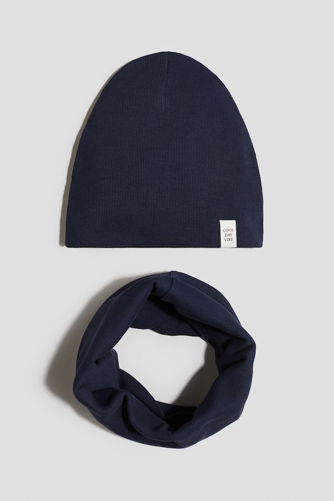 2-piece beanie and tube scarf set - Navy blue/Dusty blue/Dinosaurs - 1