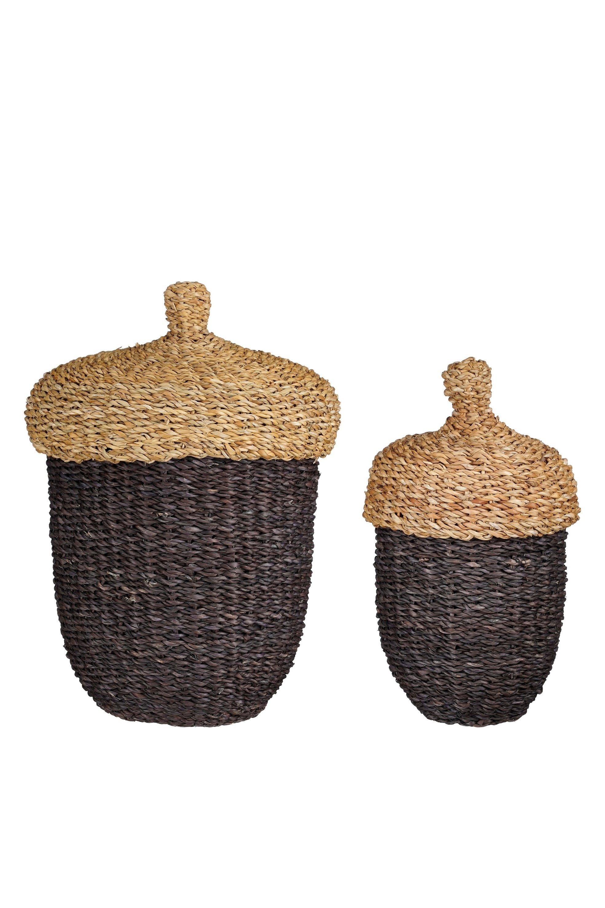 House of Seasons - Cesta Con Tapa - Marrón Oscuro